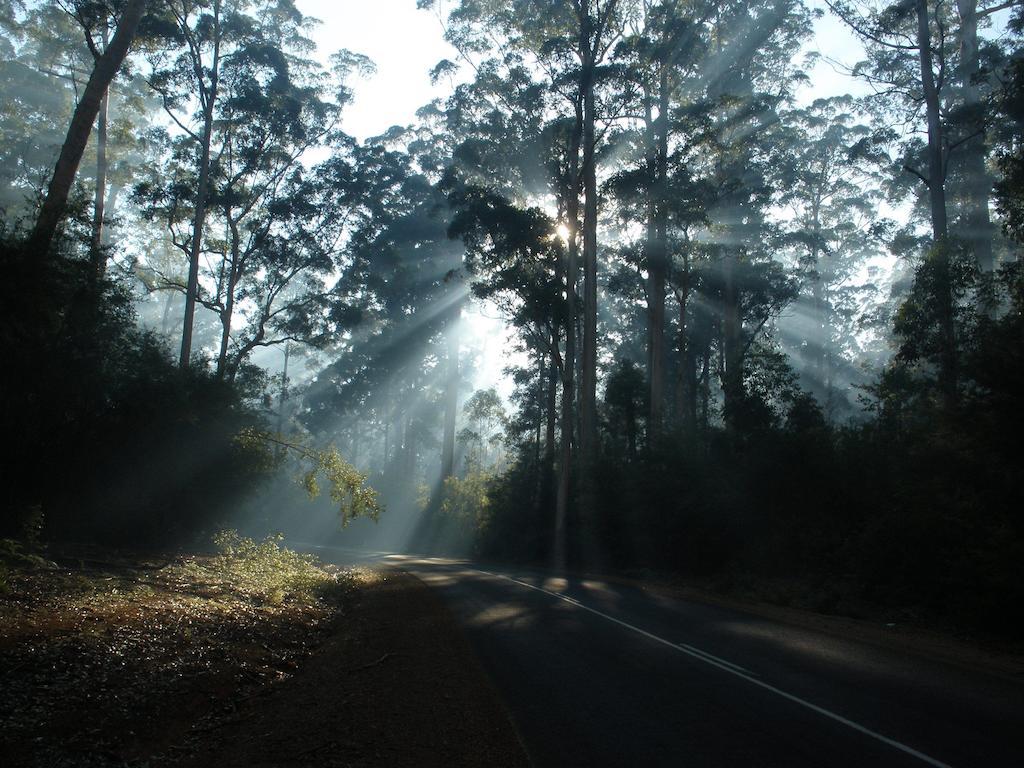 Marima Cottages Pemberton by null