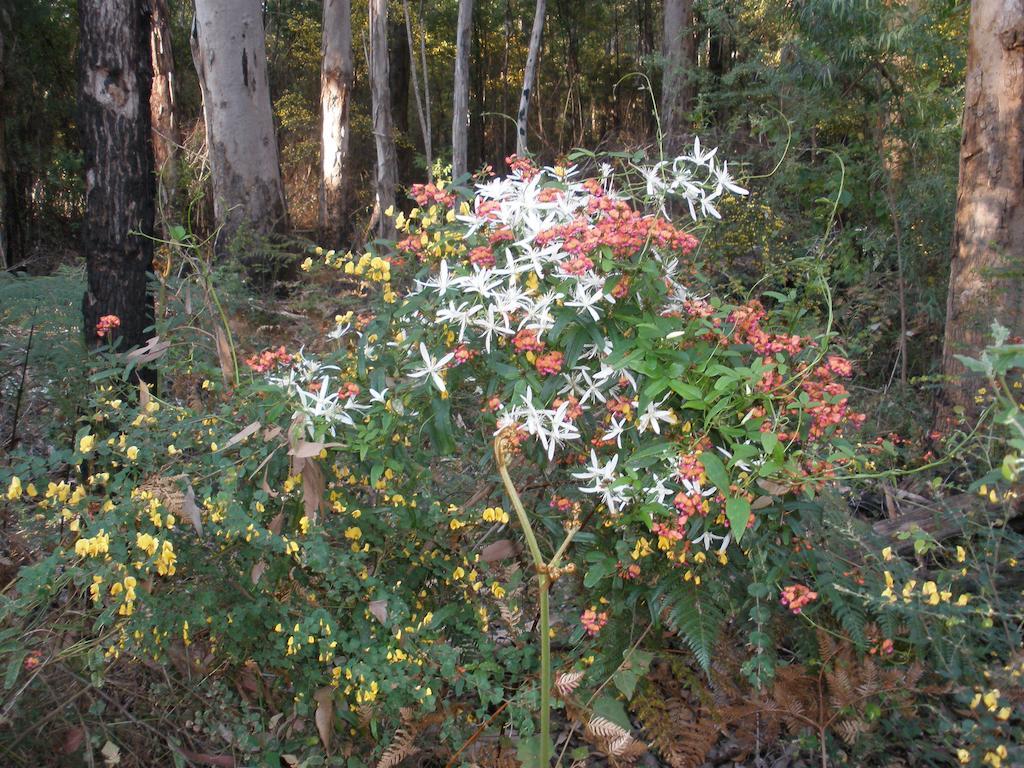 Marima Cottages Pemberton by null