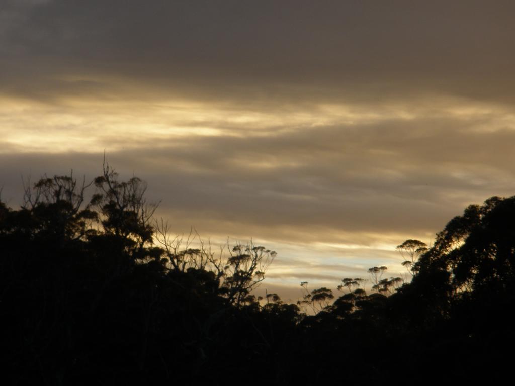 Marima Cottages Pemberton by null