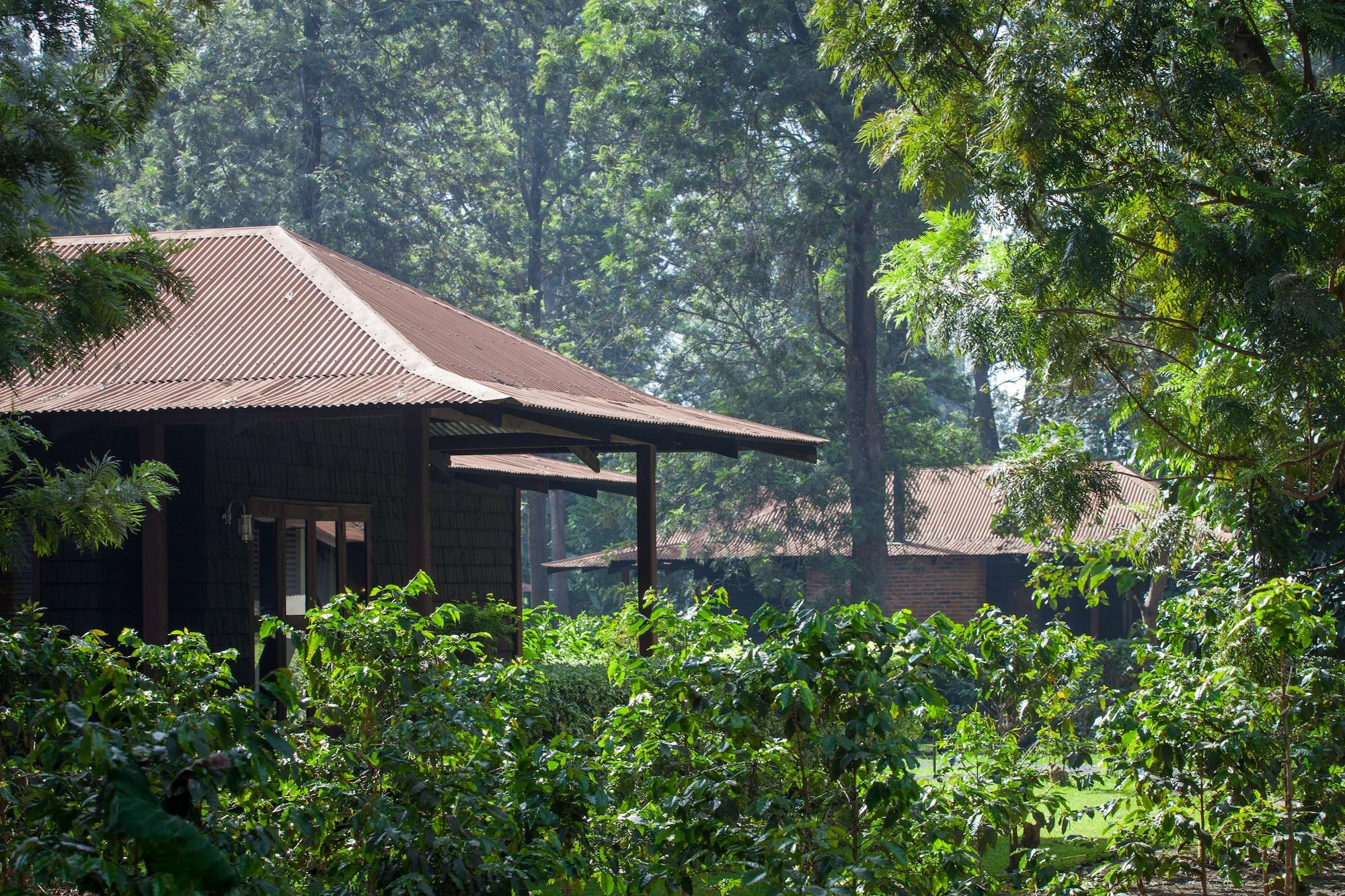 Arusha Coffee Lodge by Elewana by null