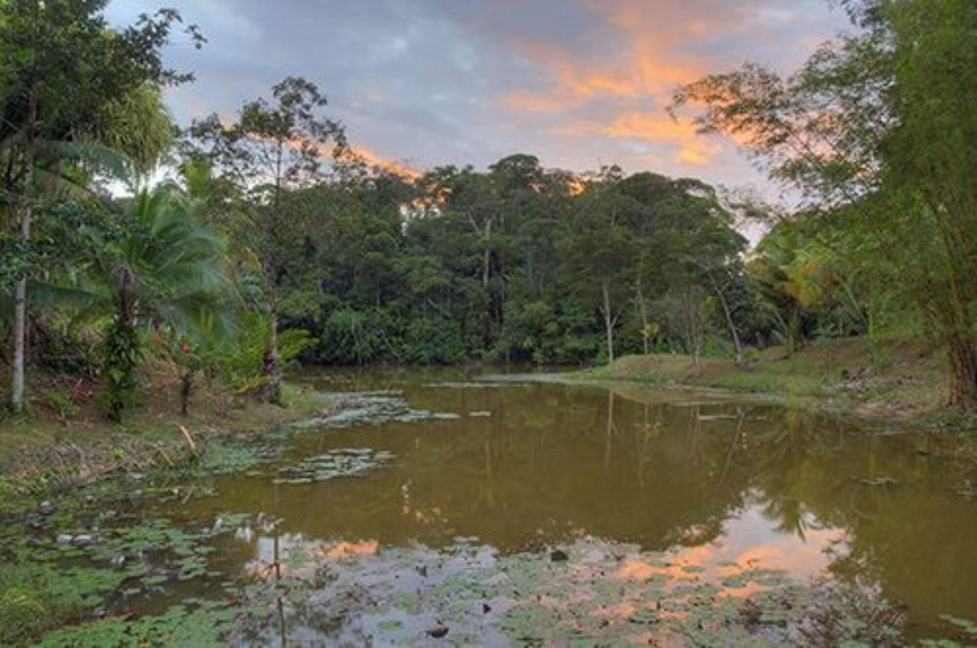 General view 5, La Laguna del Lagarto Lodge, San Carlos