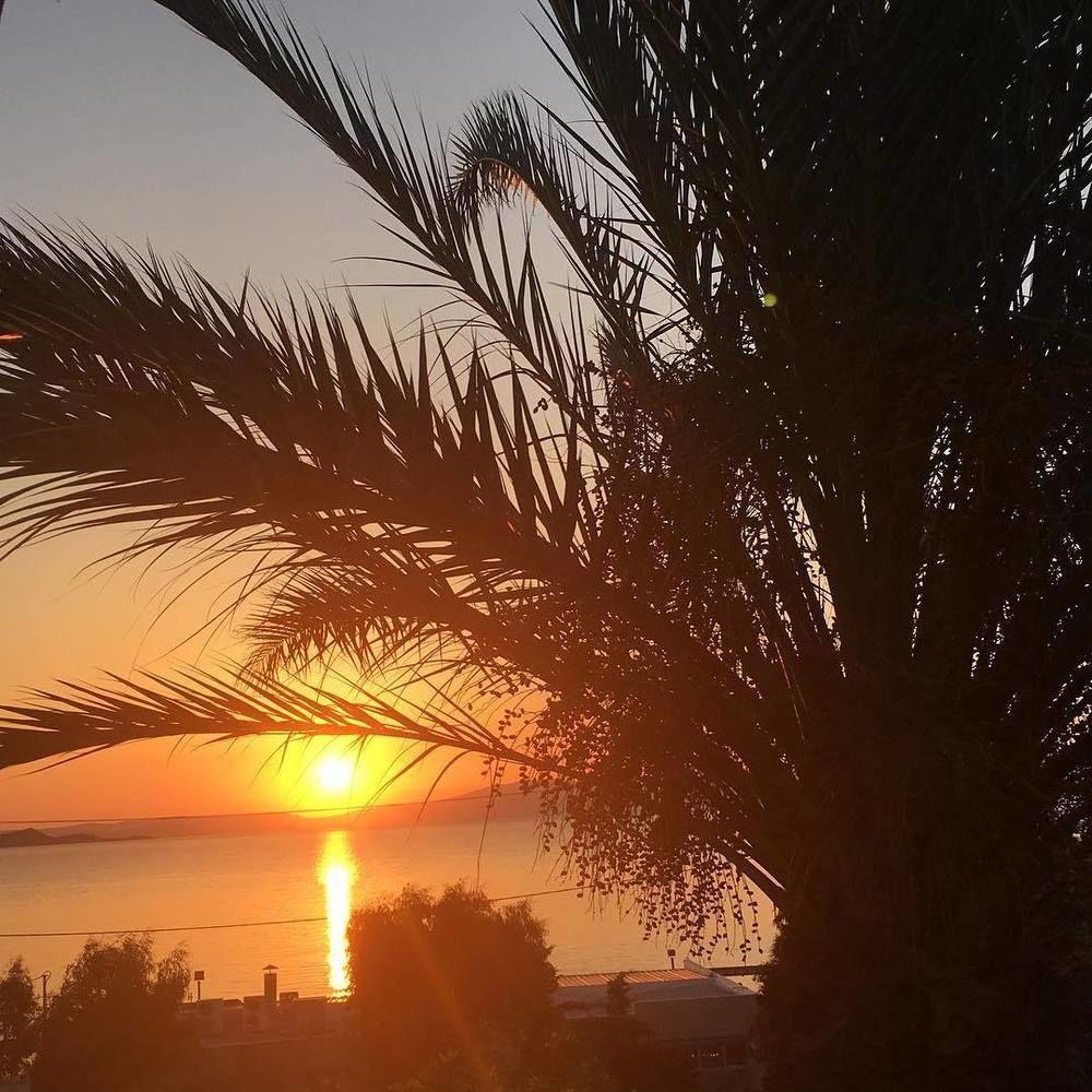 Marathon Beach Resort - photo