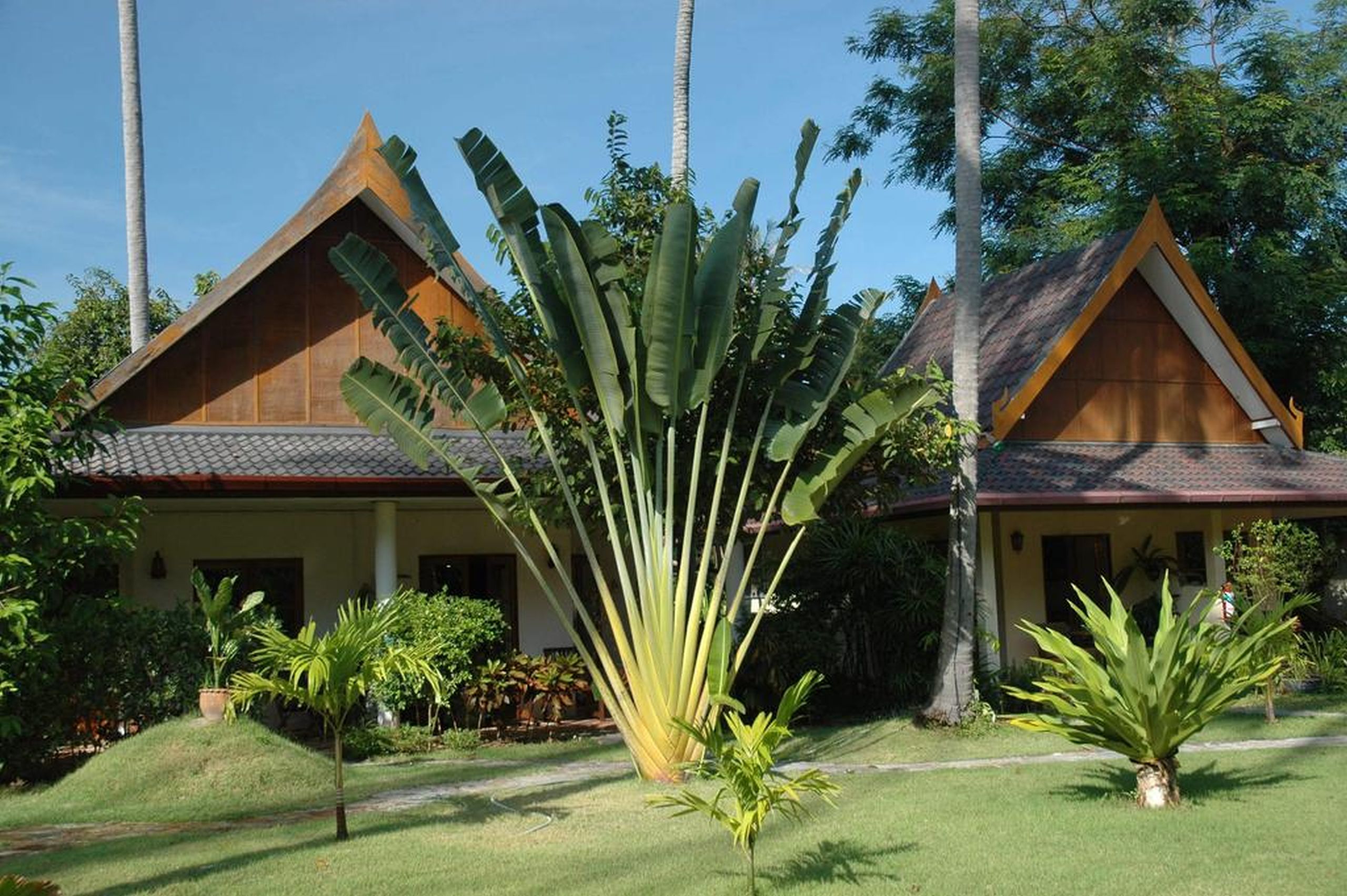 Palm Garden Resort image