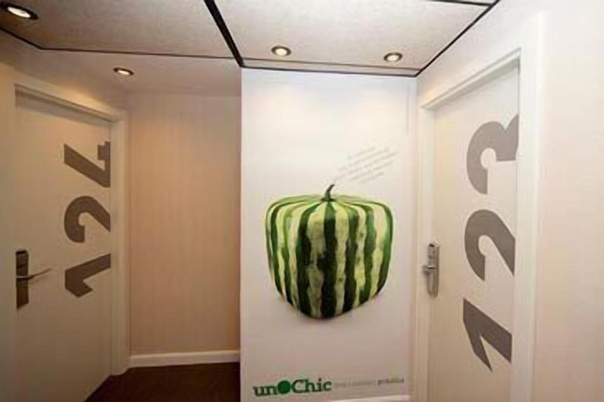 Hostal Un Punto Chic - Joaquin Costa by null