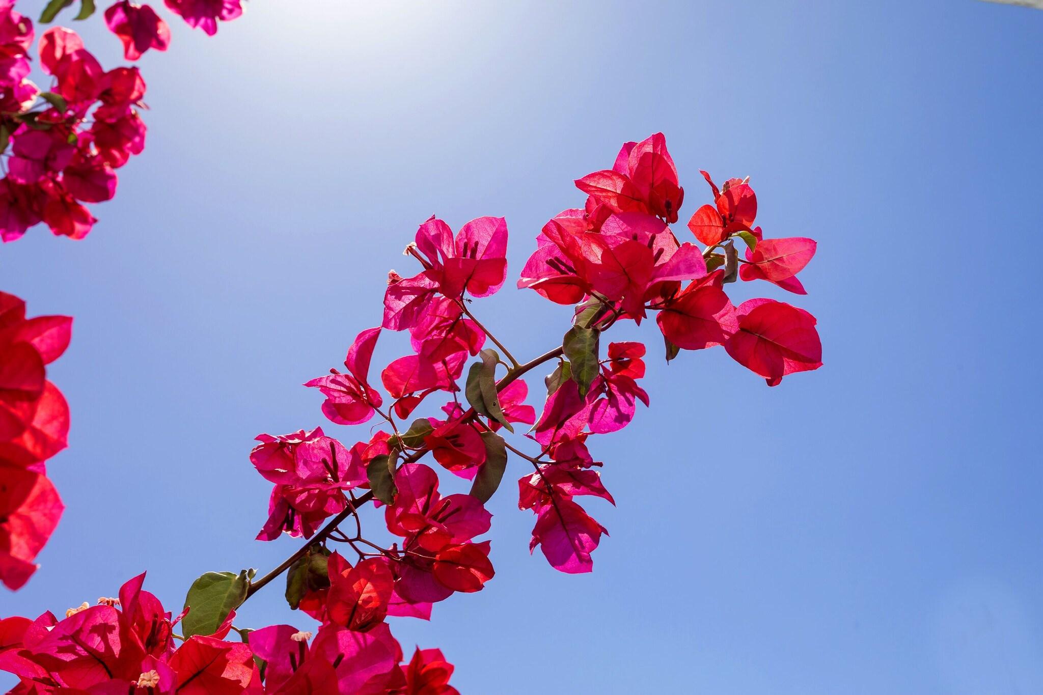 Hostal Manolita by null