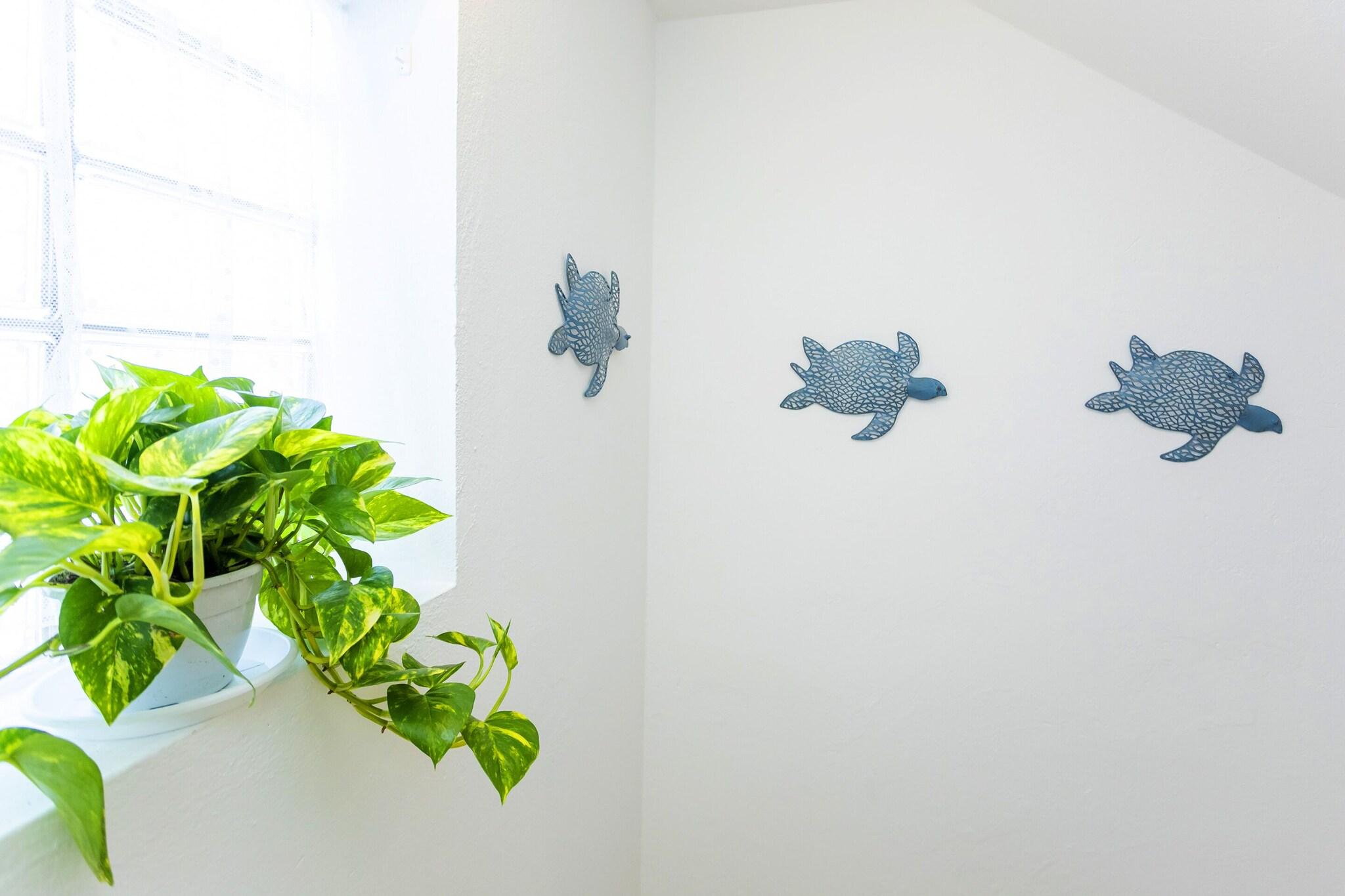 Hostal Manolita by null