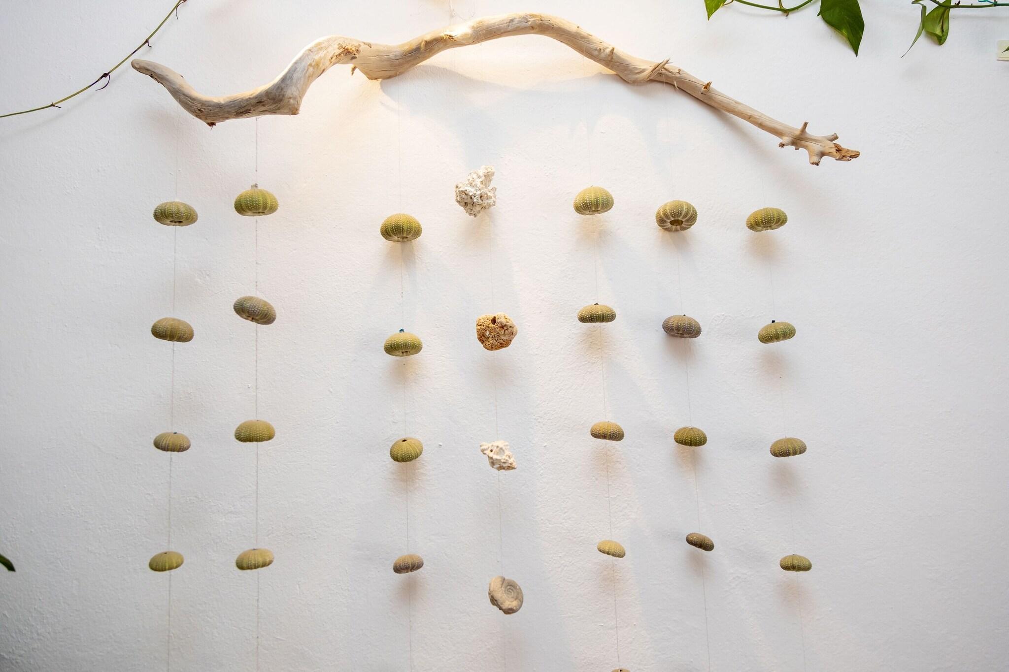 Hostal Manolita by null