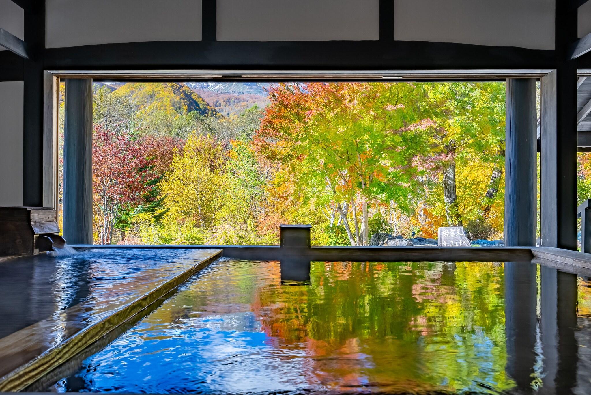 Sierra Resort Hotel Hakuba by null