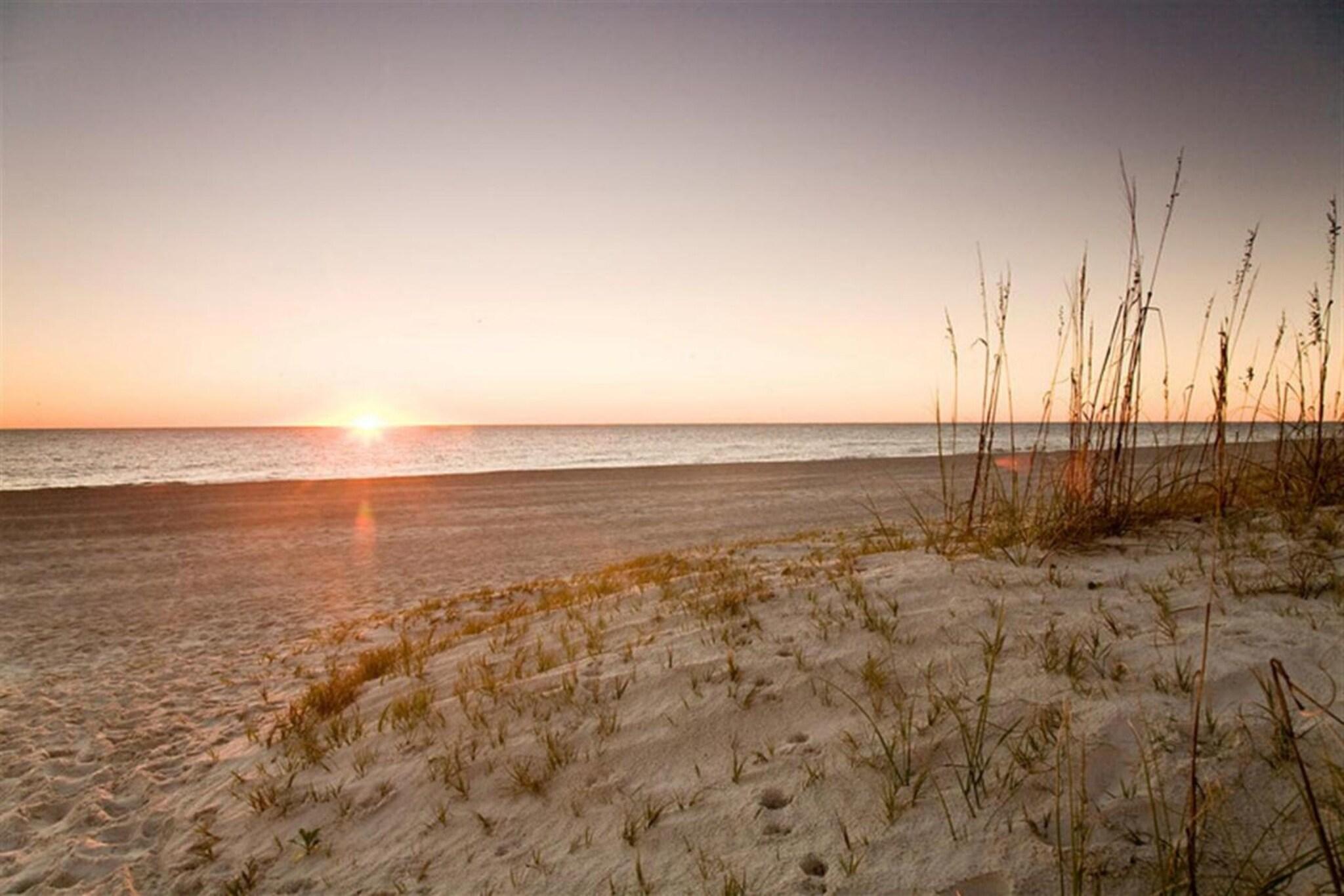 Elizabeth Pointe by null