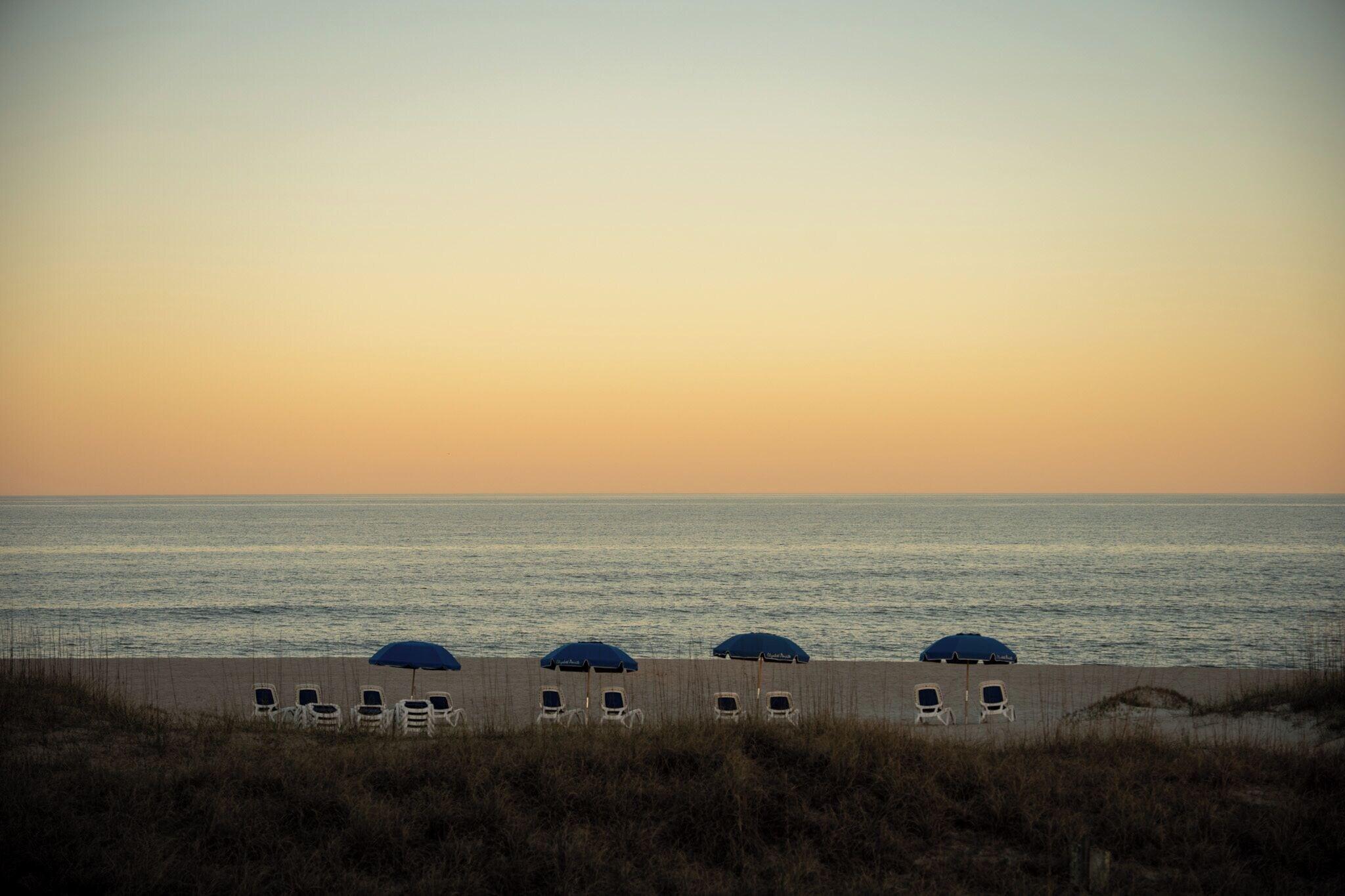 Elizabeth Pointe by null