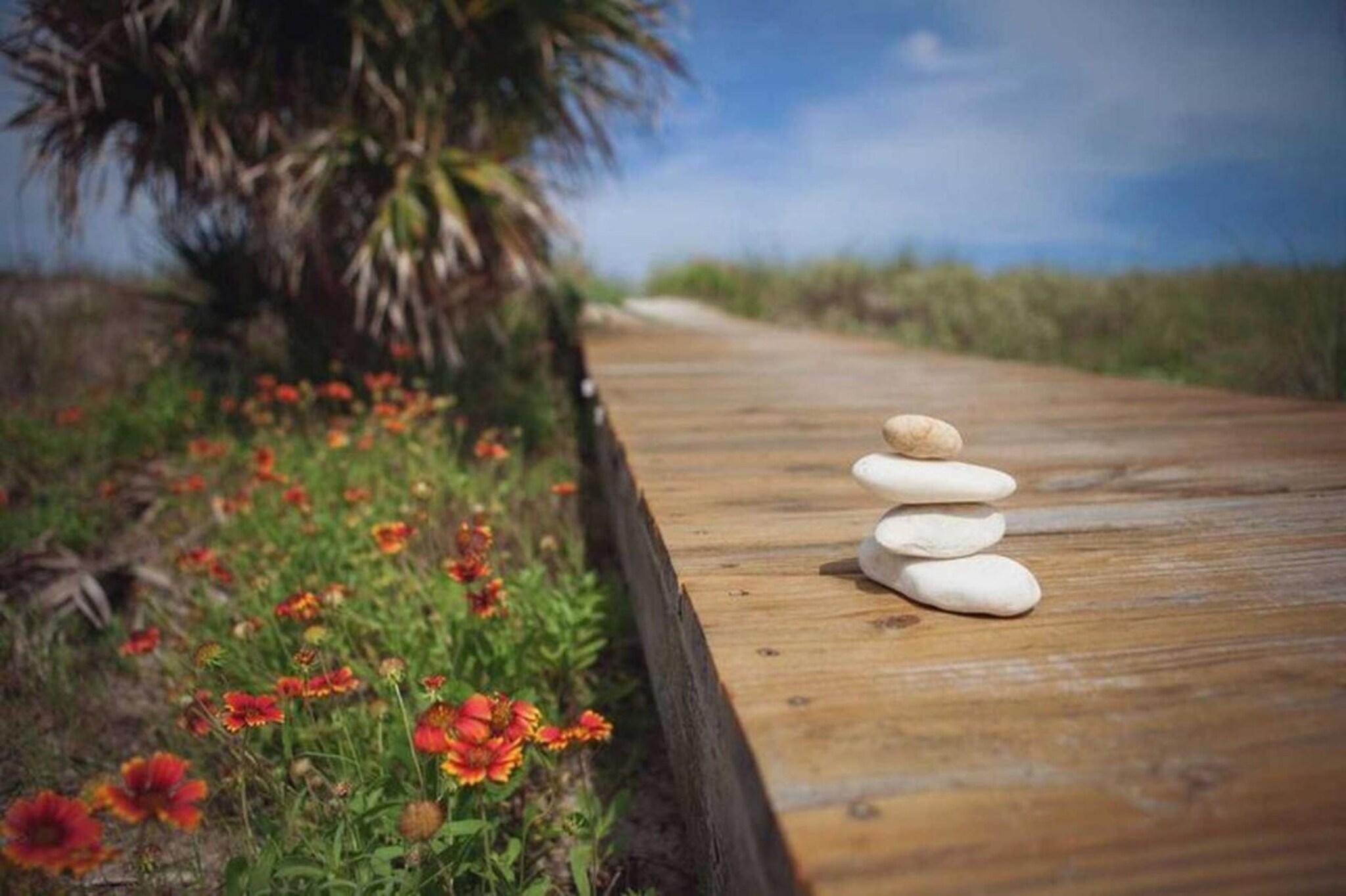 Elizabeth Pointe by null