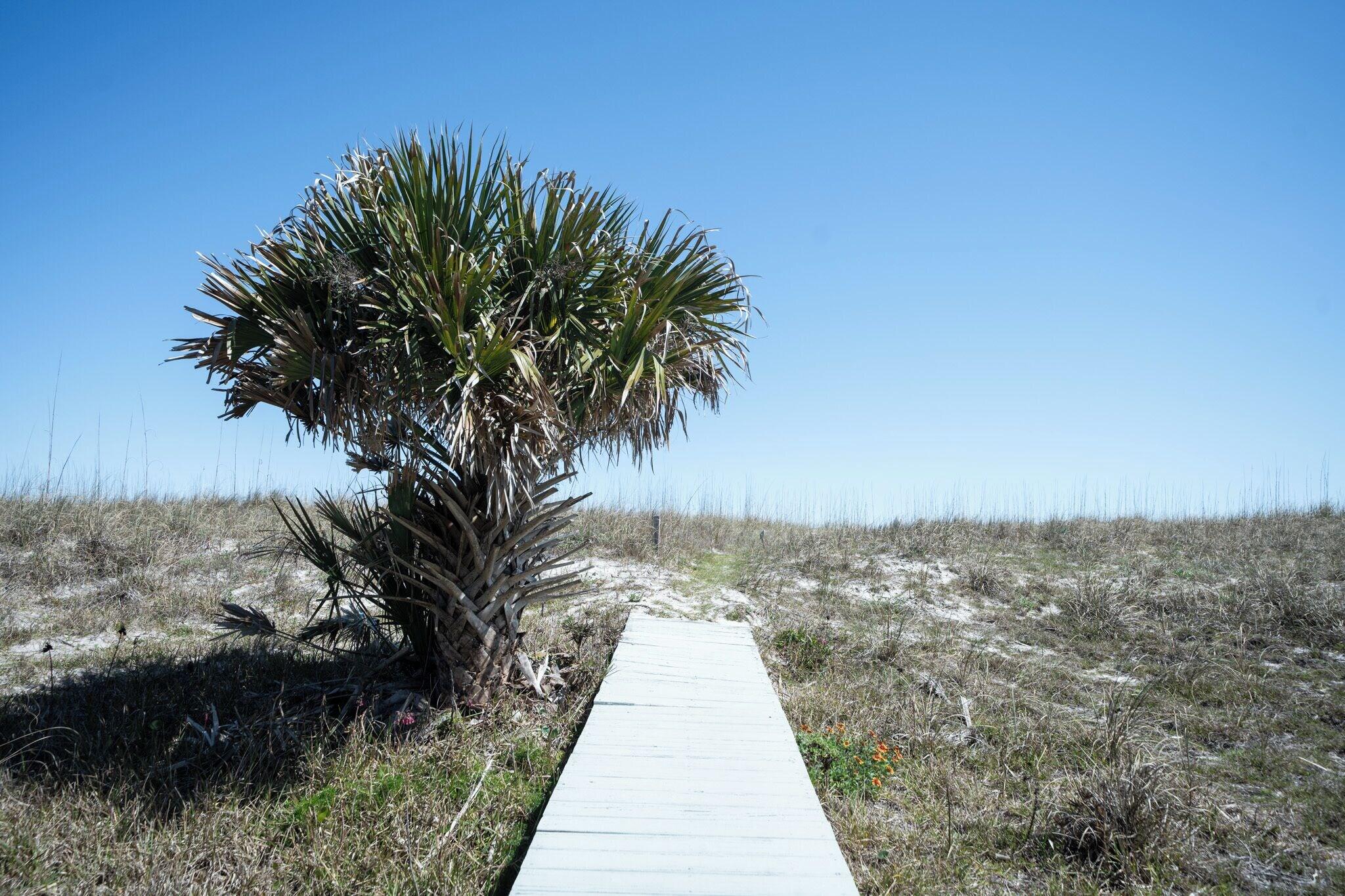 Elizabeth Pointe by null