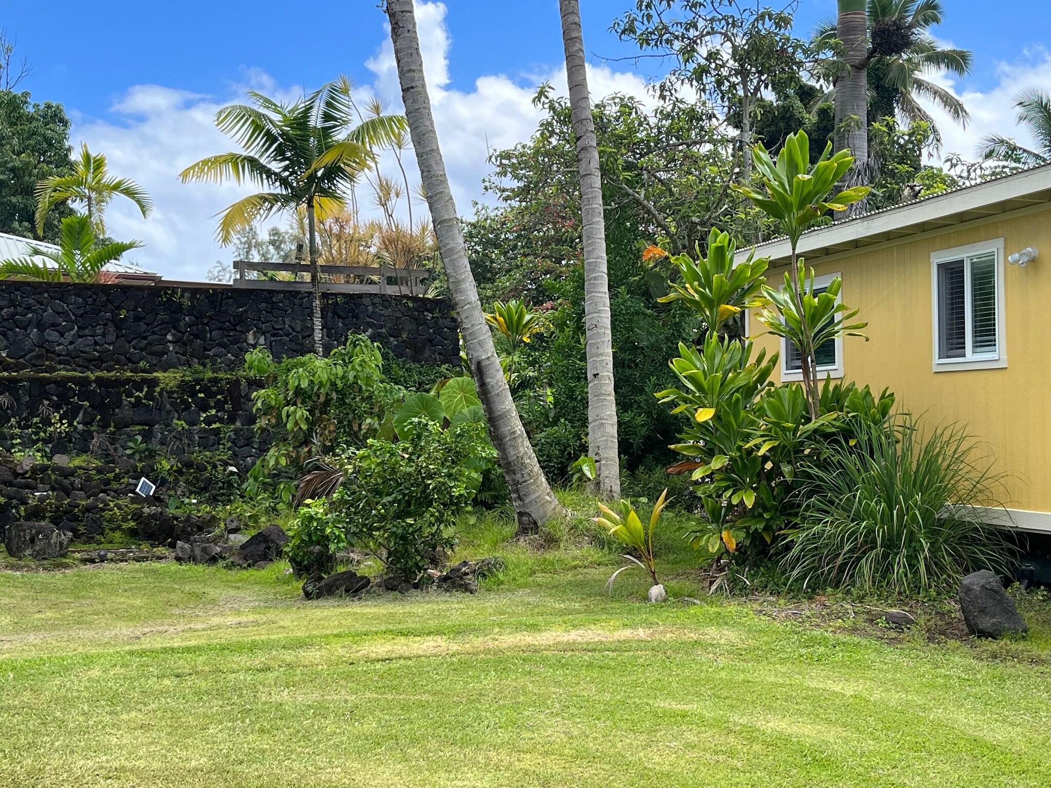 Aaron's Cottage by null