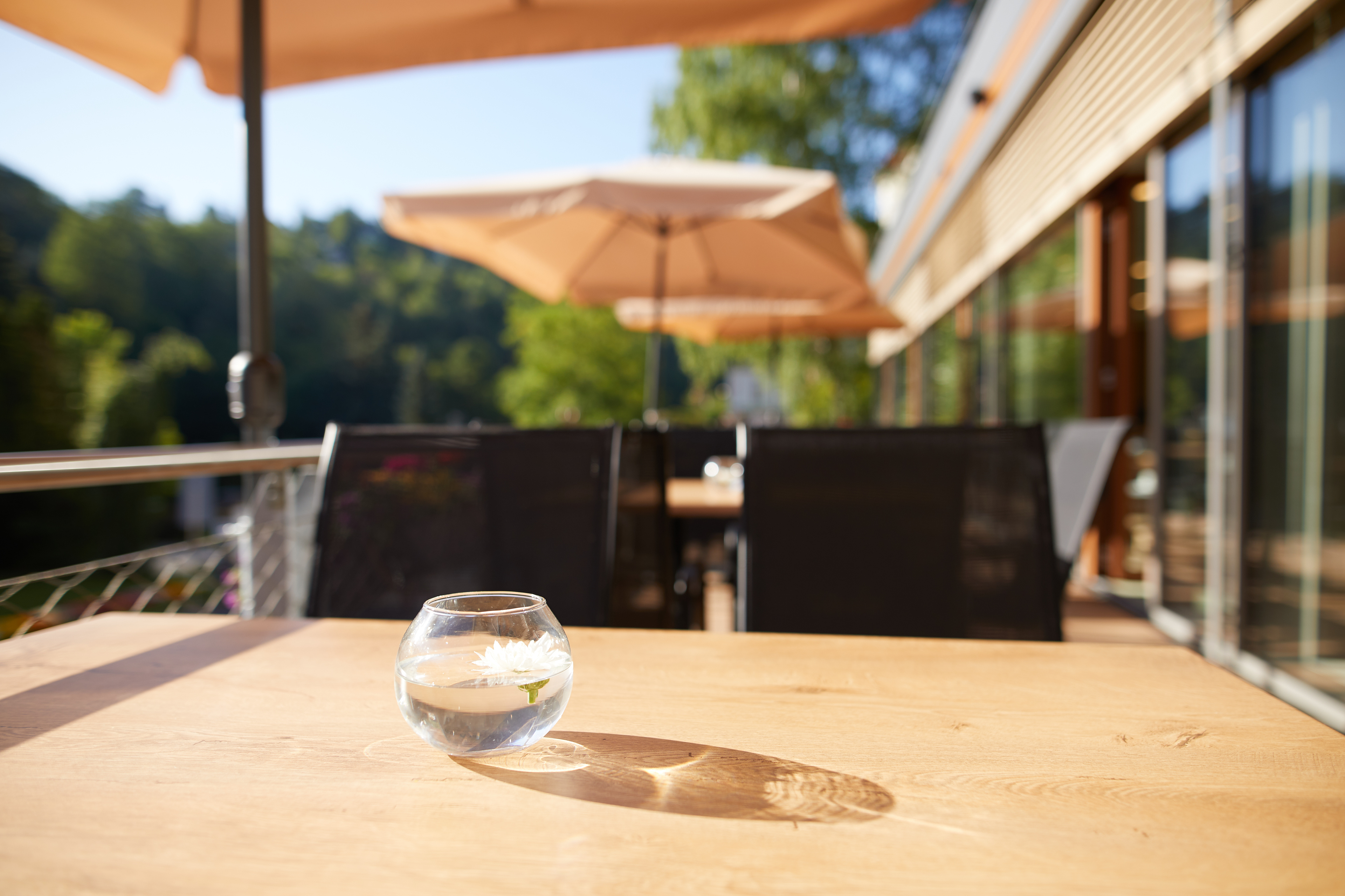 Astoria Hotel Jachymov - nuotrauka