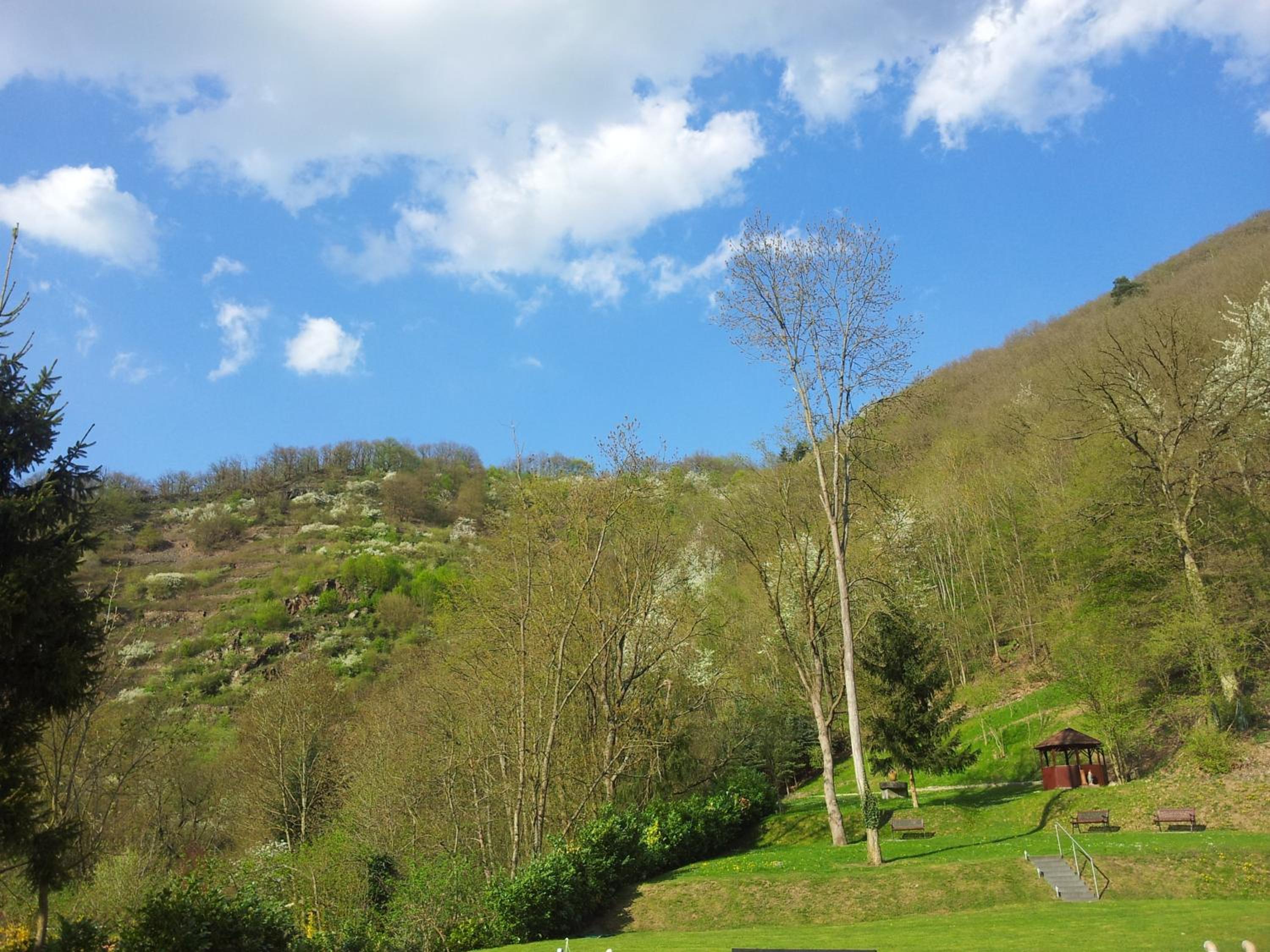 Mosellandhotel Waldeck
