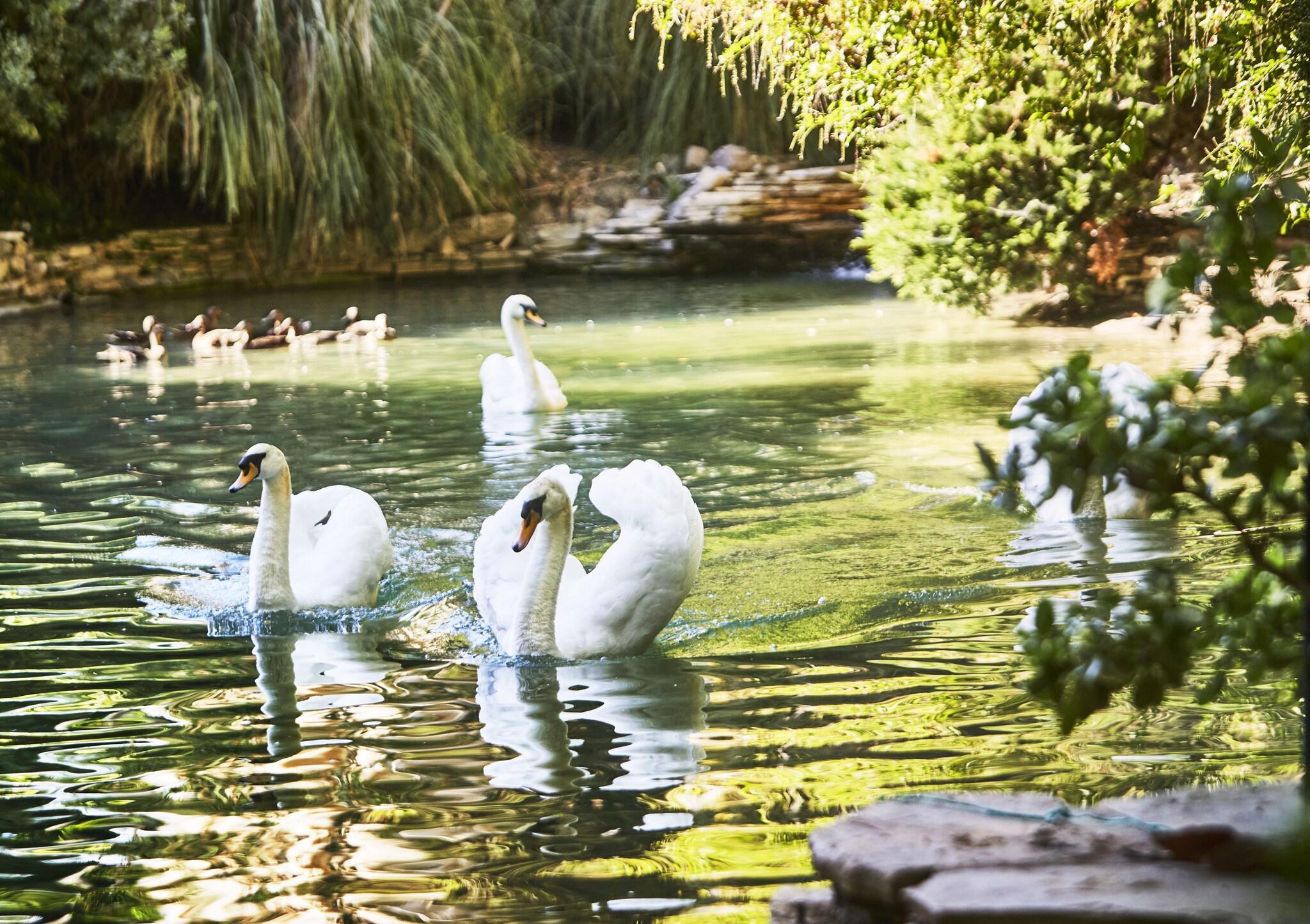 Hotel Bel-Air by null