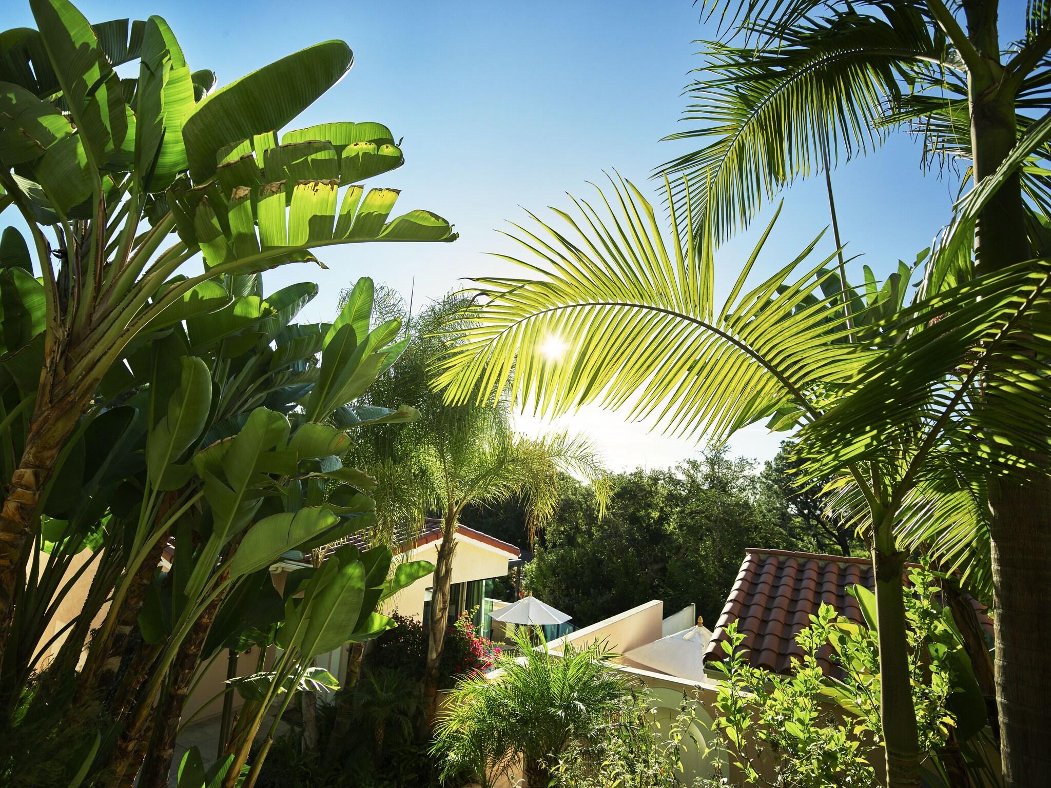 Hotel Bel-Air by null