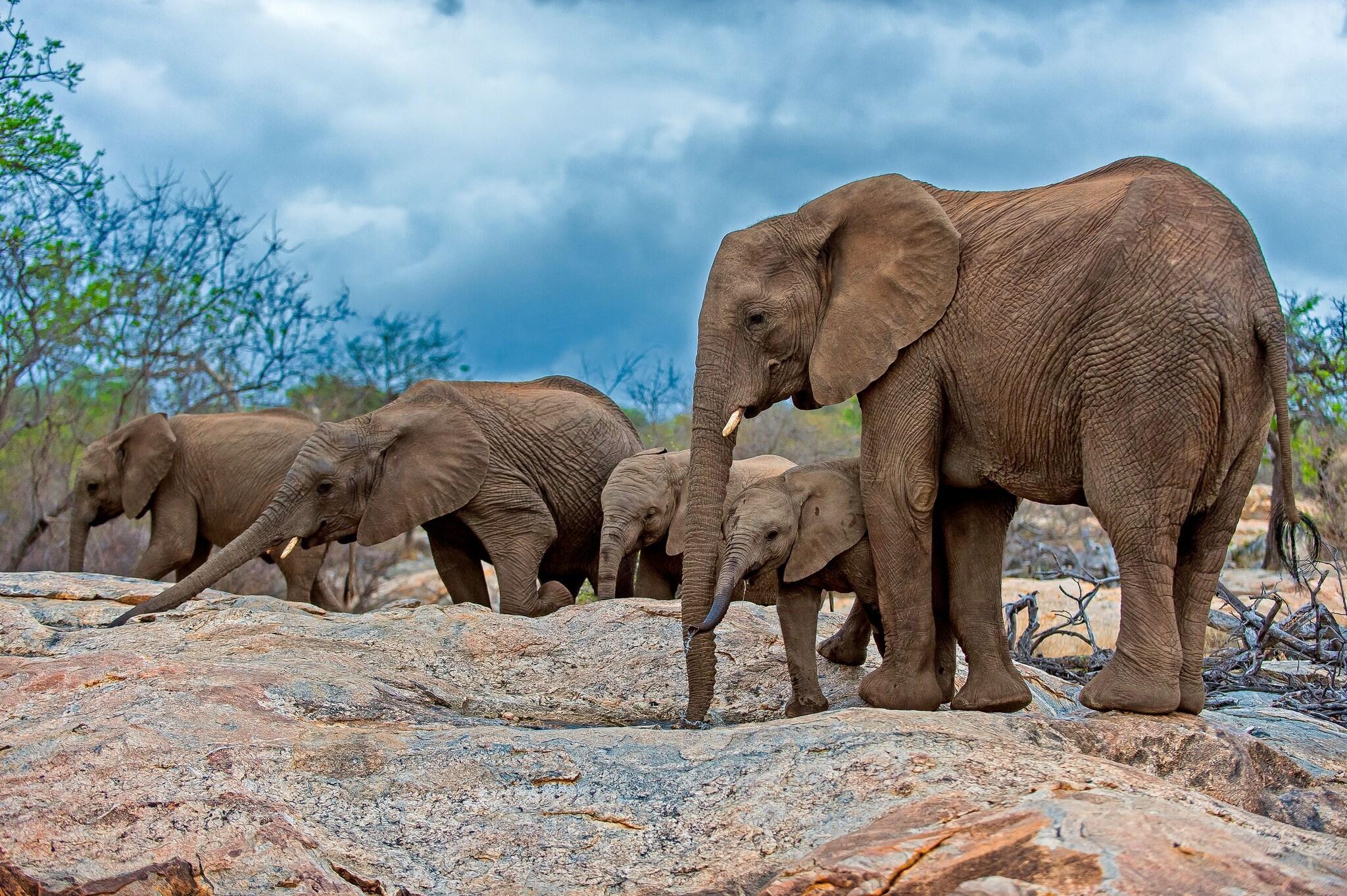 Pondoro Game Lodge by null