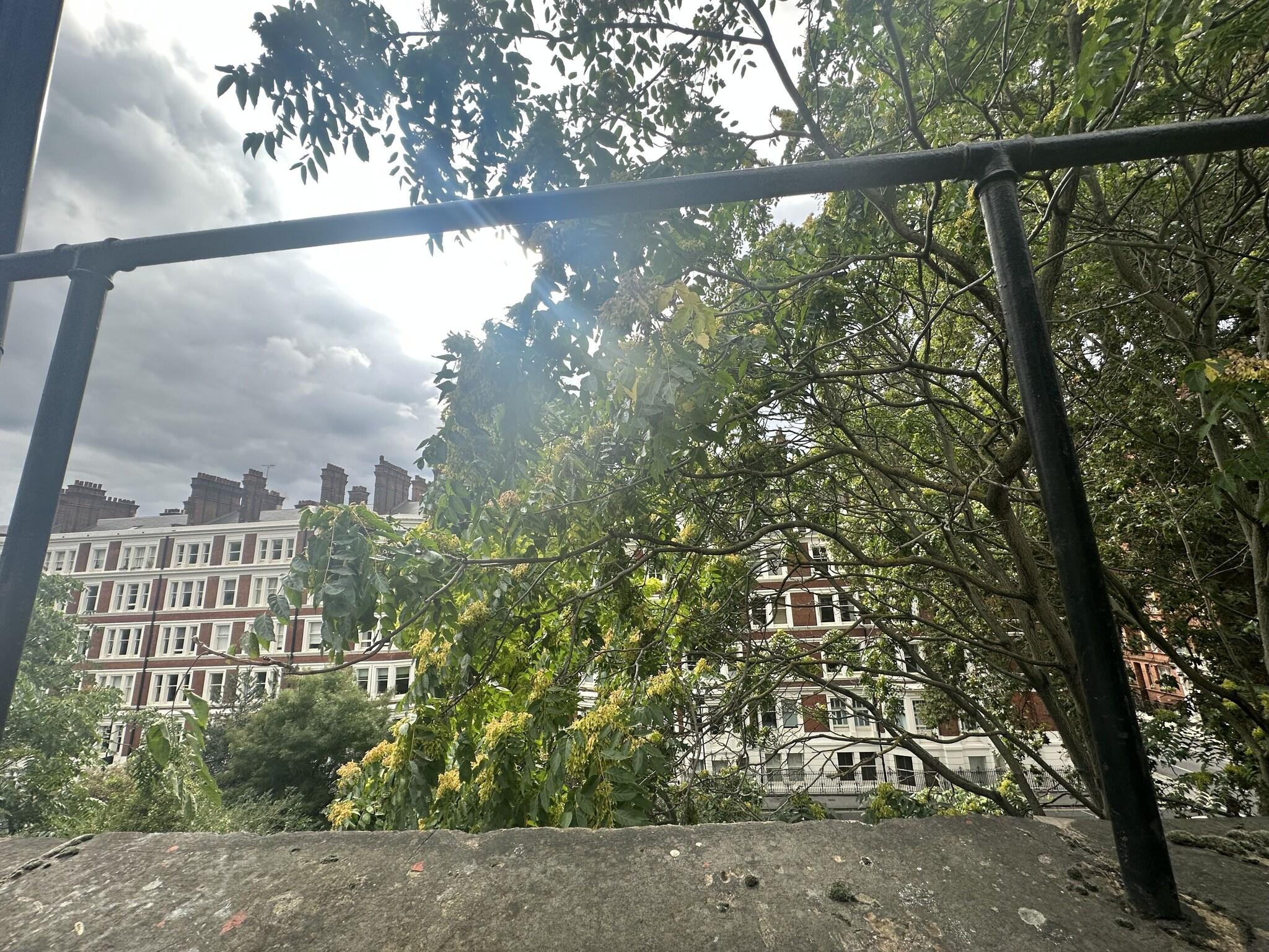 Arran House Hotel | Crown Group of Hotels | Gower Street London | Hotels Near UCL, UCLH, Euston Sq & Goodge Street by null