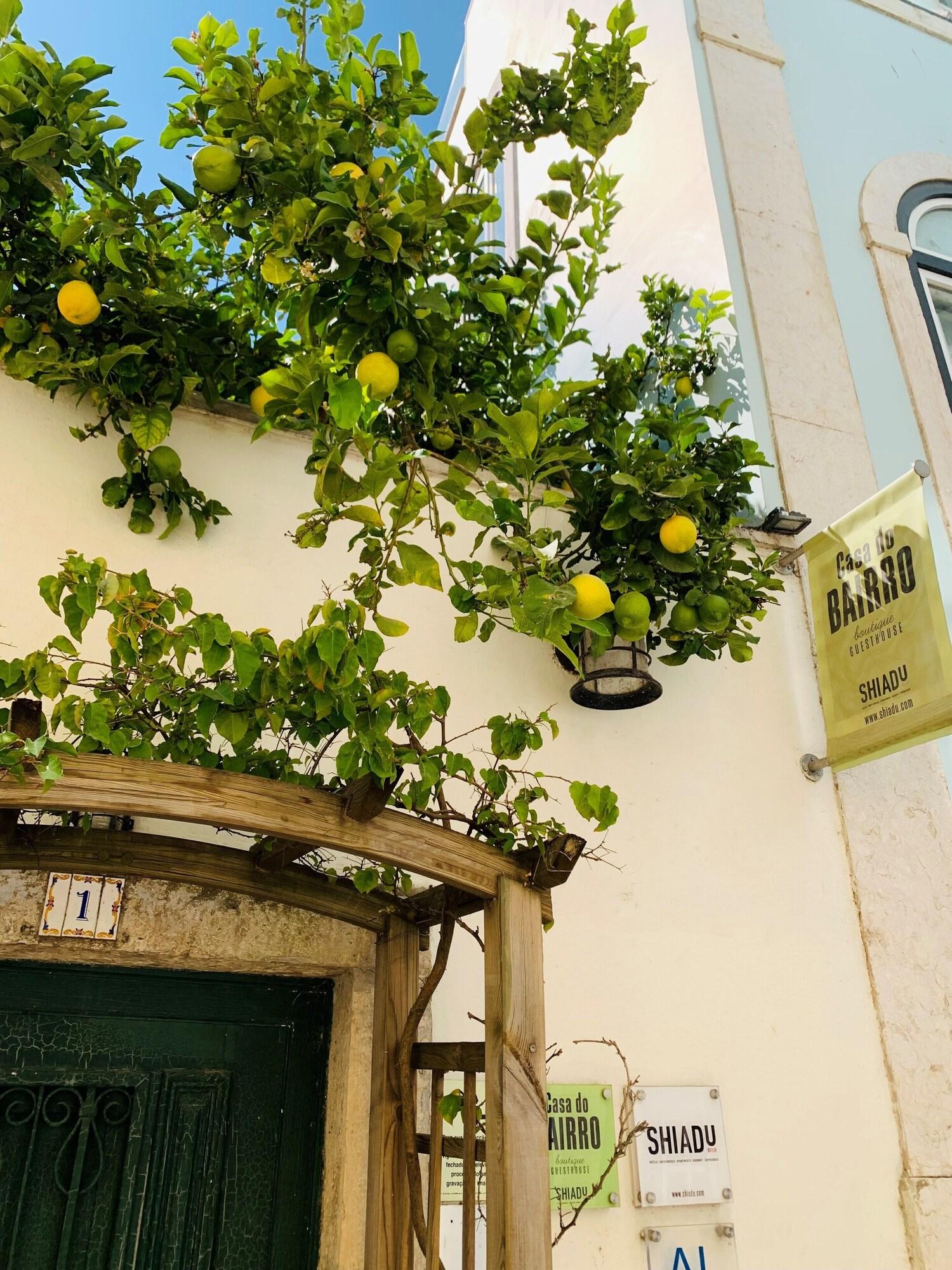 Casa do Bairro by Shiadu by null