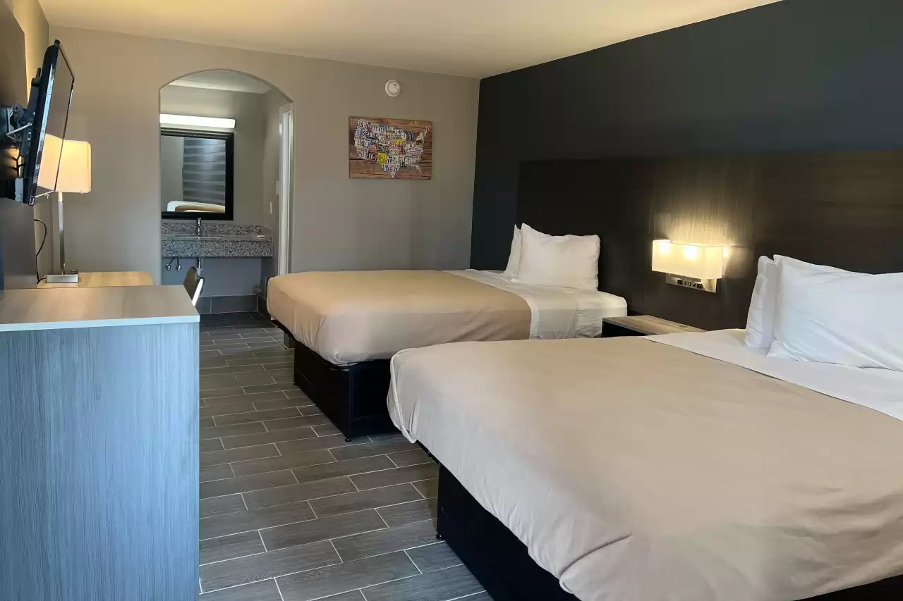 Suite