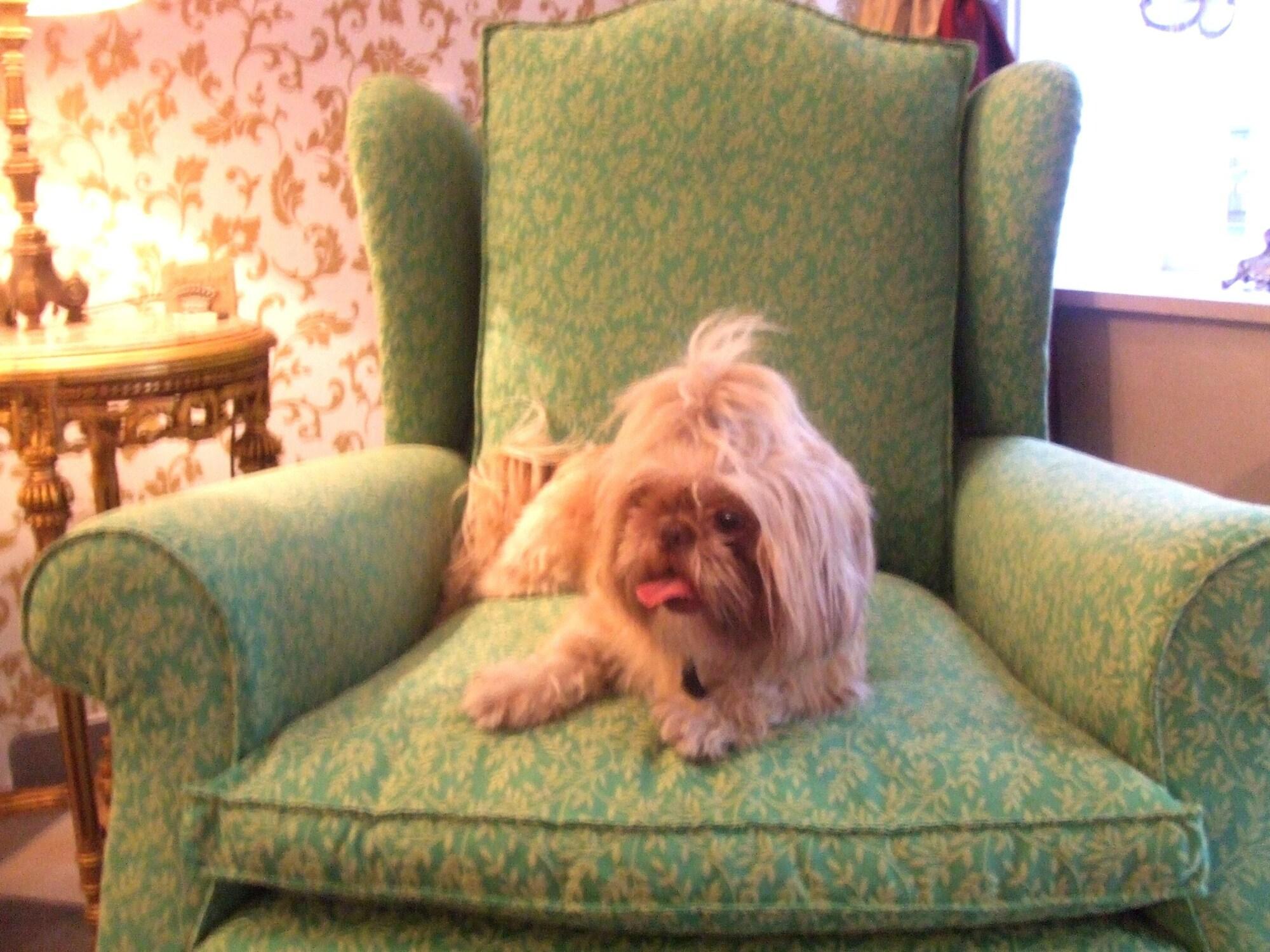 Allegro Hotel by null