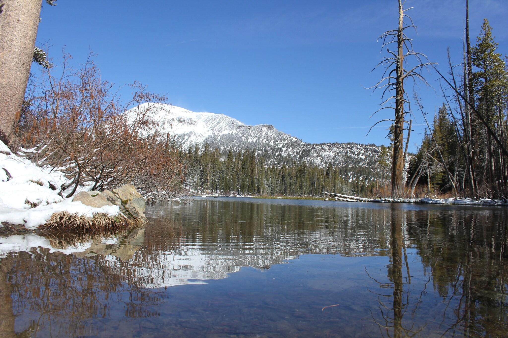 Alpenhof Lodge by null