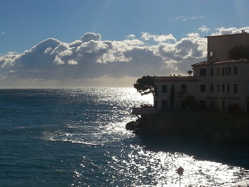 Hotel De La Plage - Mahogany by null