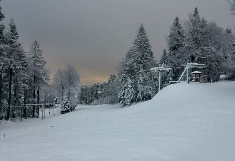Bolfenk
