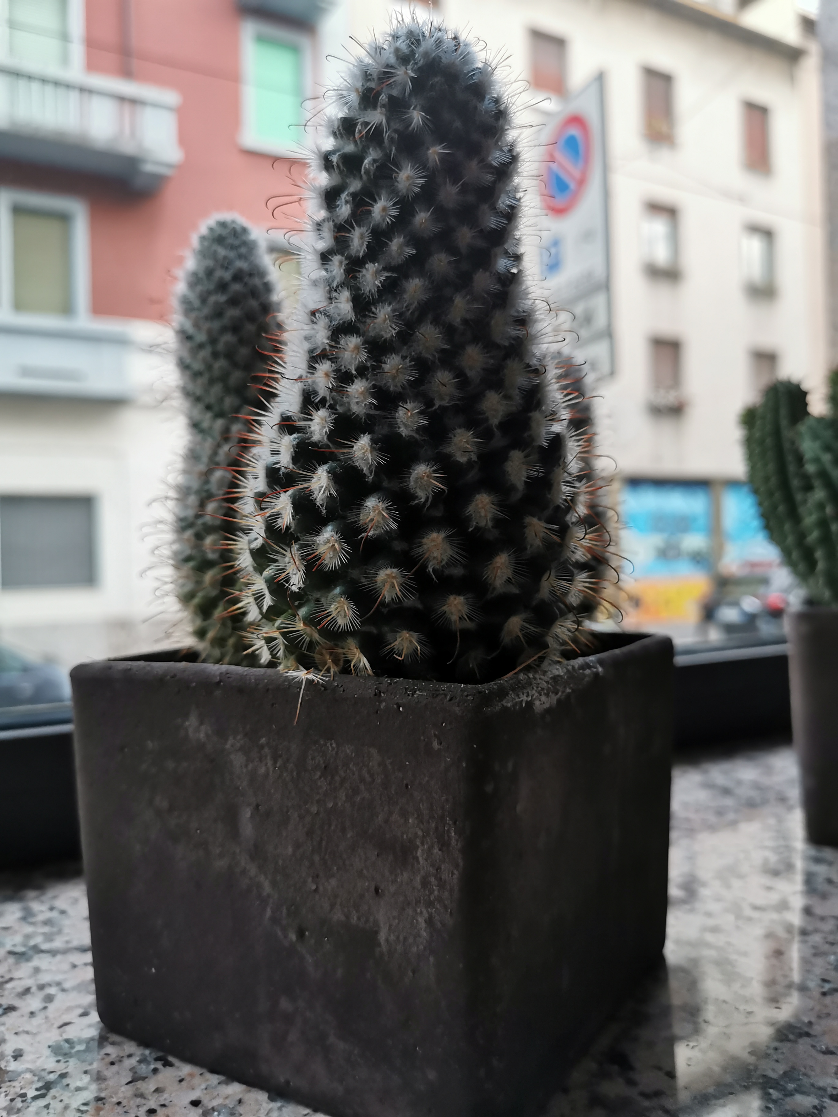 Hotel Venini - photo