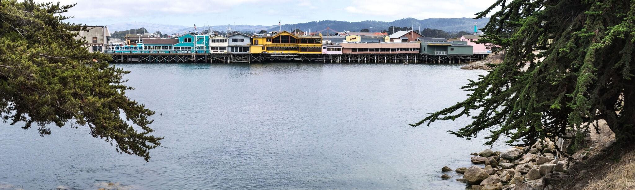 The Monterey