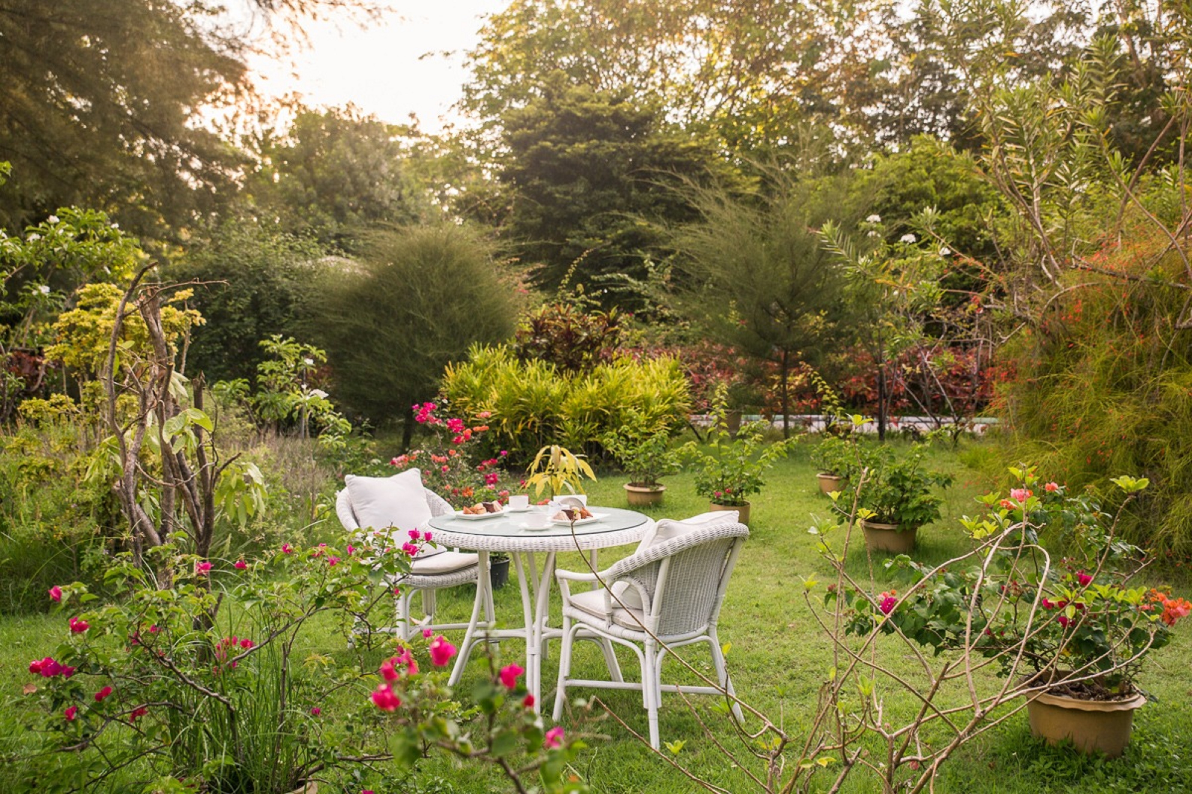 Equator Village by null