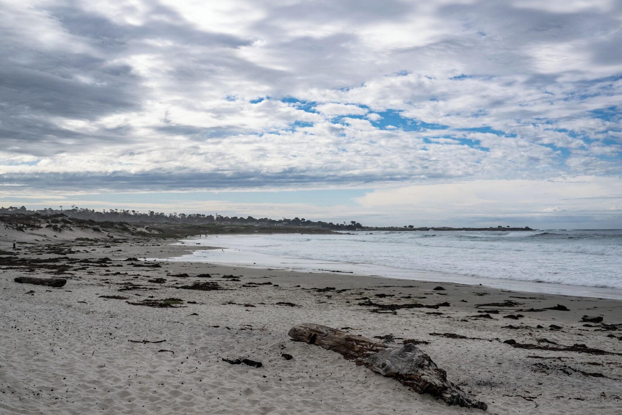 Asilomar Hotel and Conference Grounds by null