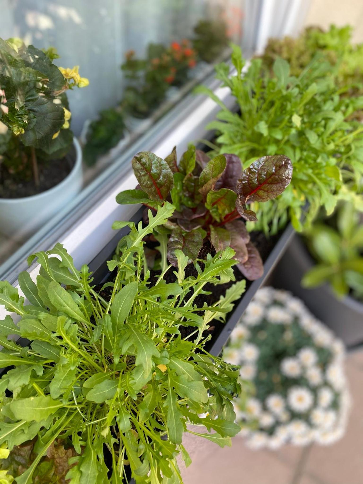 Burghotel Nuremberg by null