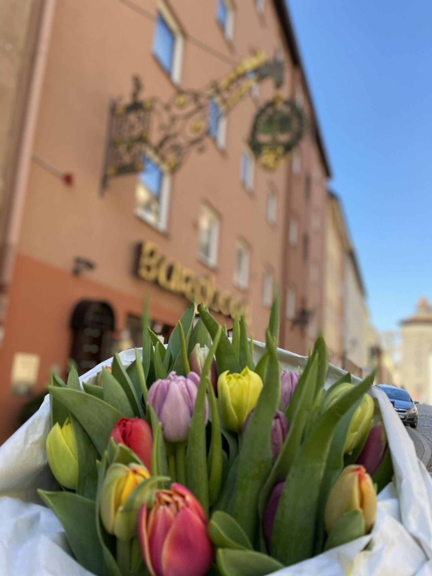 Burghotel Nuremberg by null