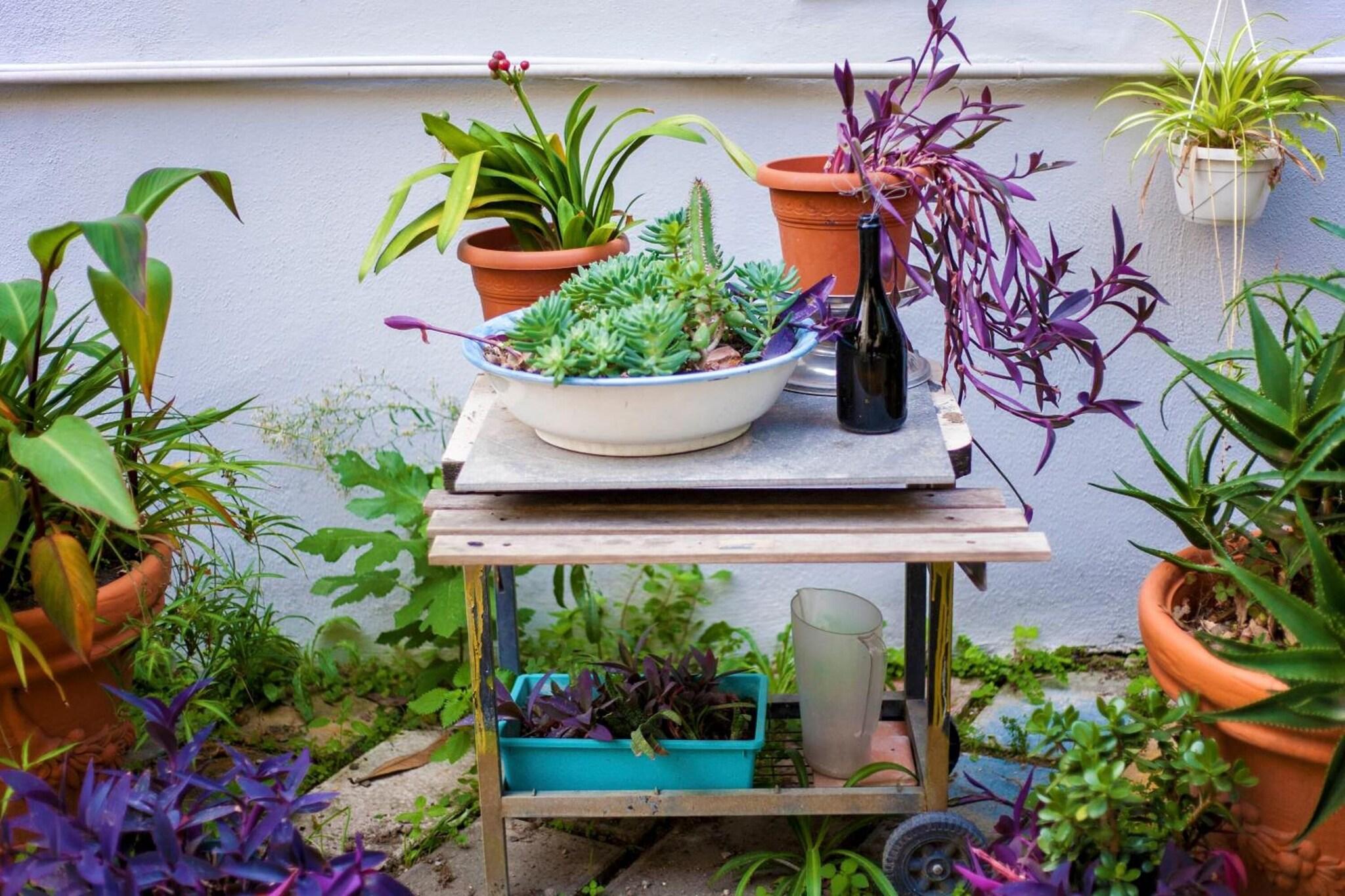 La Controra Hostel Naples by null