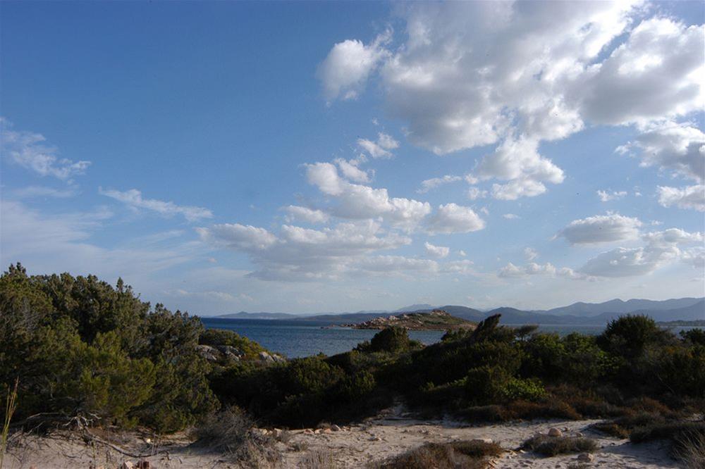 Stella Marina