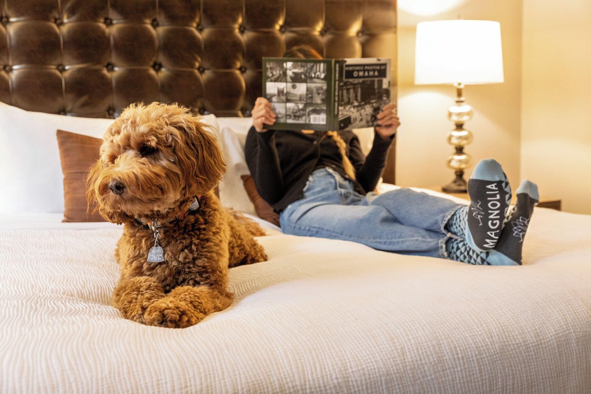 Magnolia Hotel Omaha by null