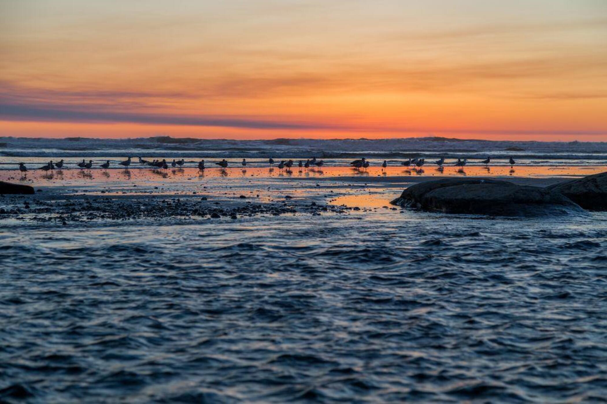 Kalaloch Lodge at Olympic National Park by null