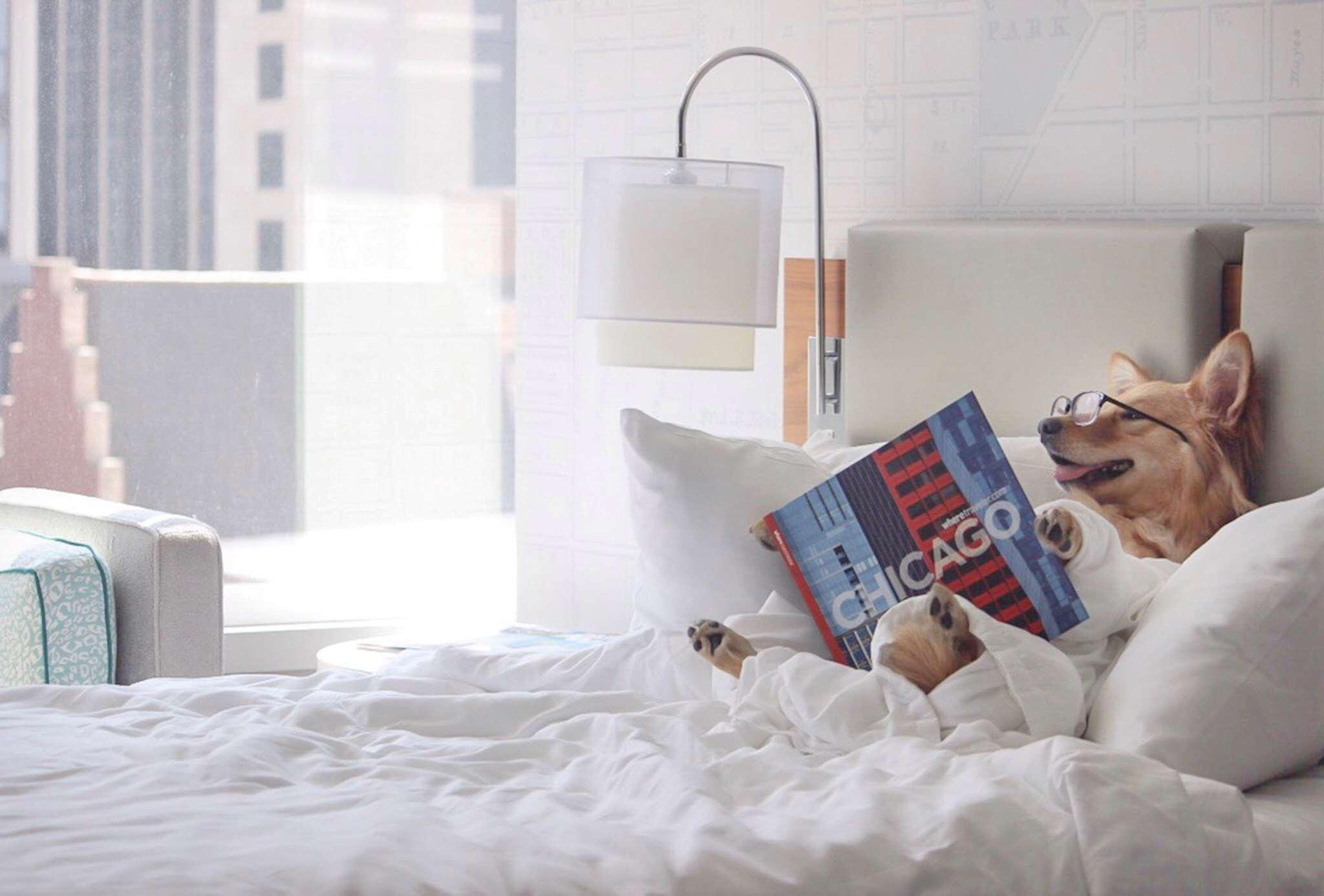 Kinzie Hotel by null