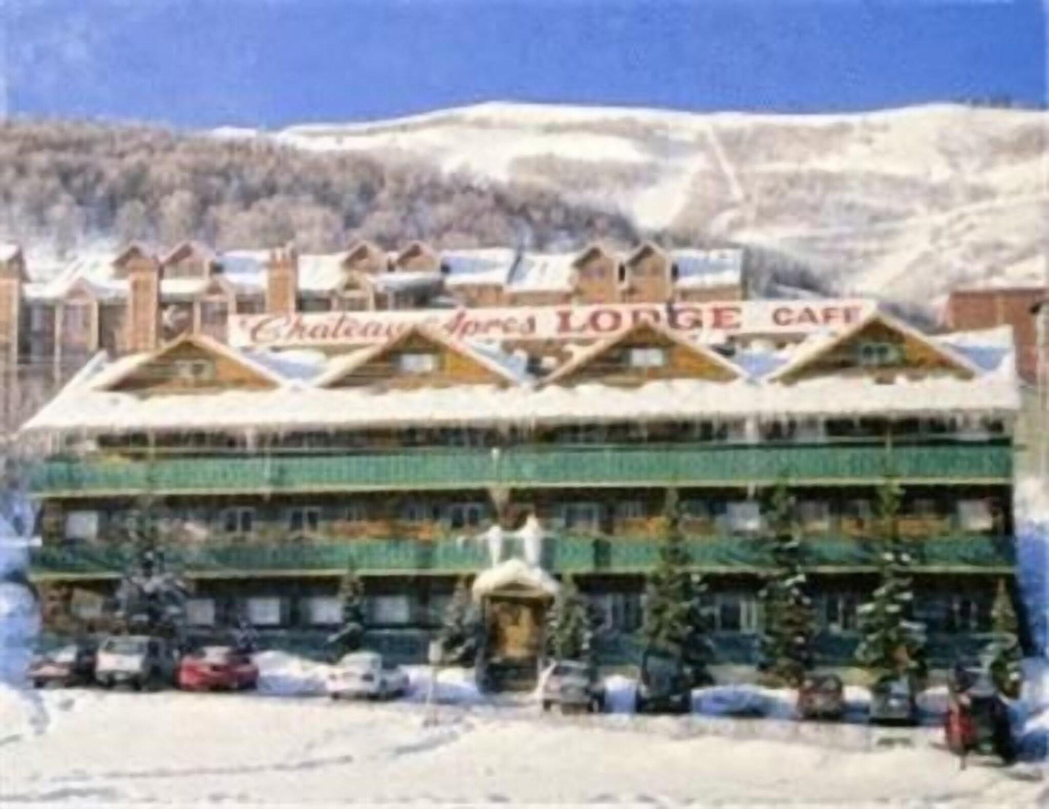 Chateau Apres Lodge by null