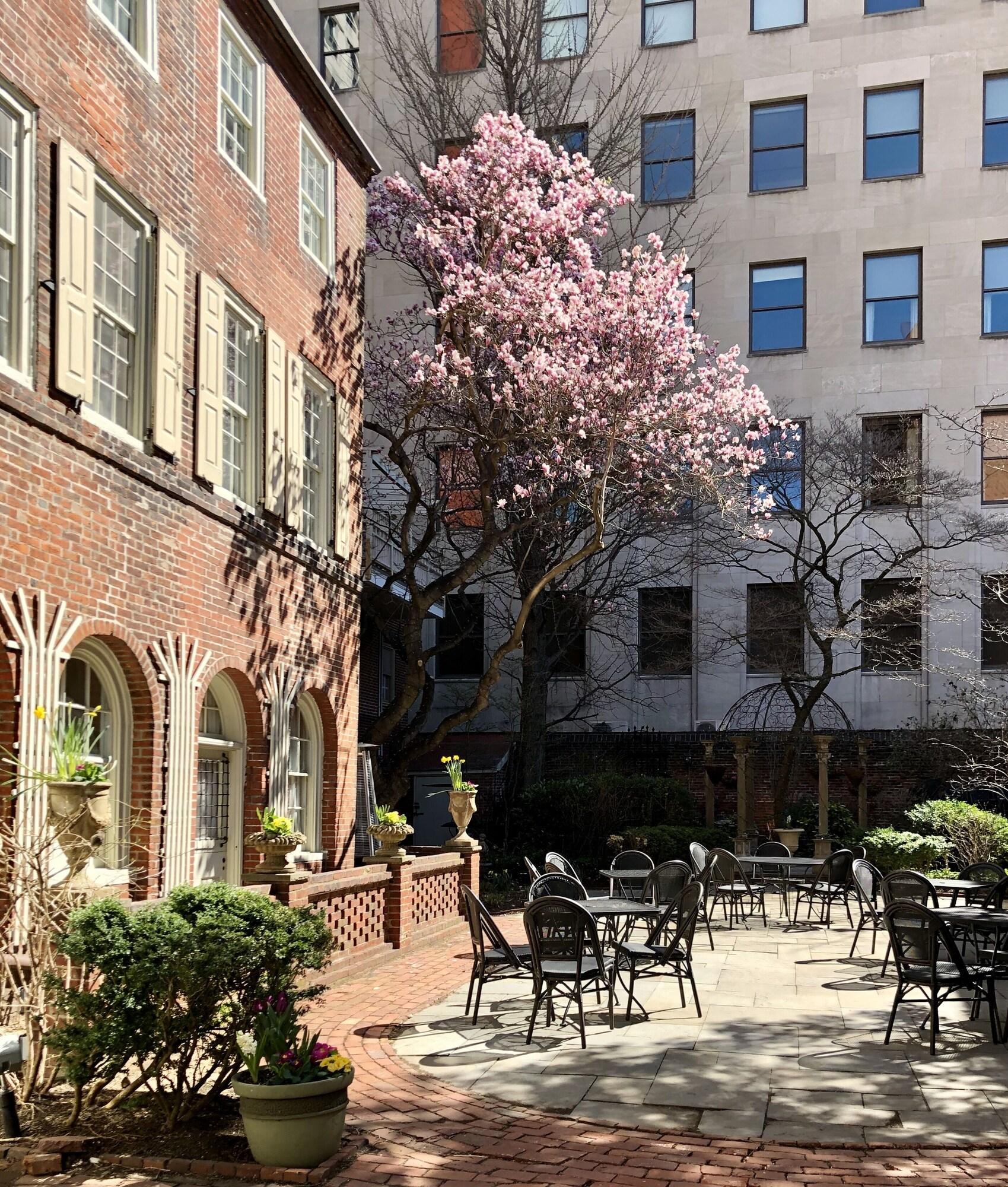 Morris House Hotel by null