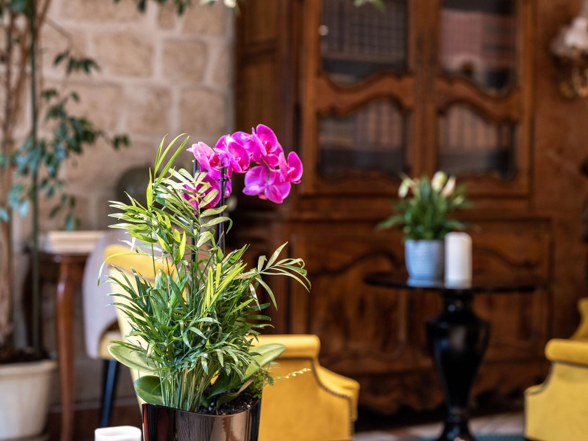 Hotel MINERVE by null