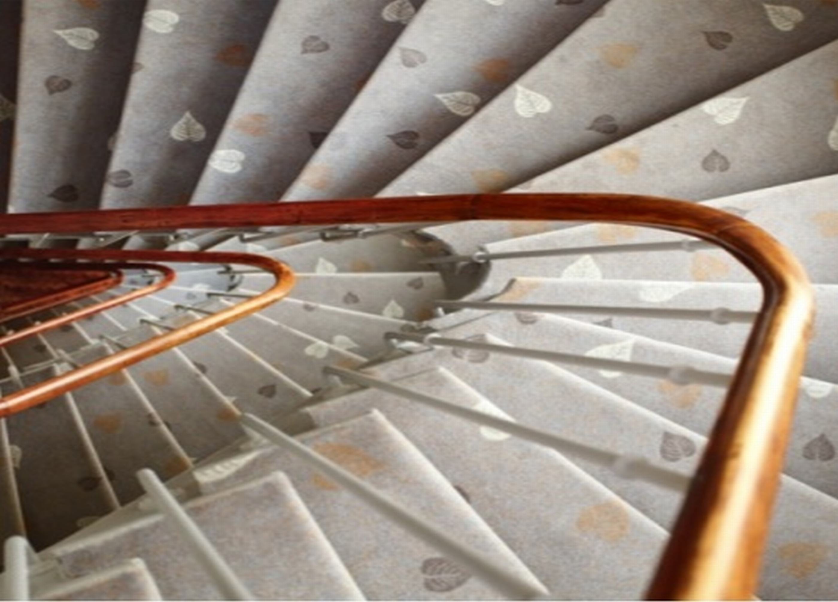 Hôtel Du Printemps by null