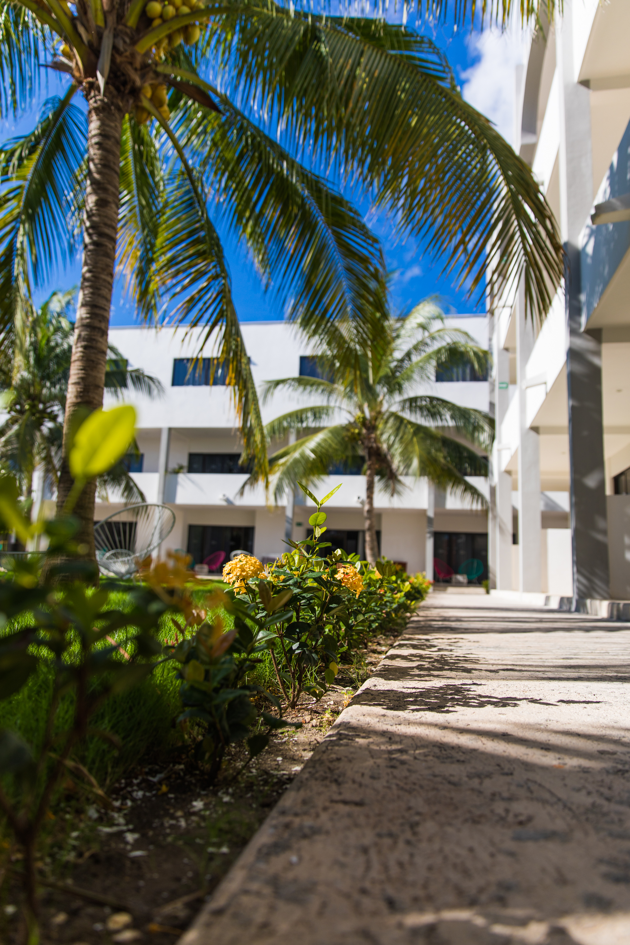 Hotel ojo de agua Puerto Morelos Q Roo