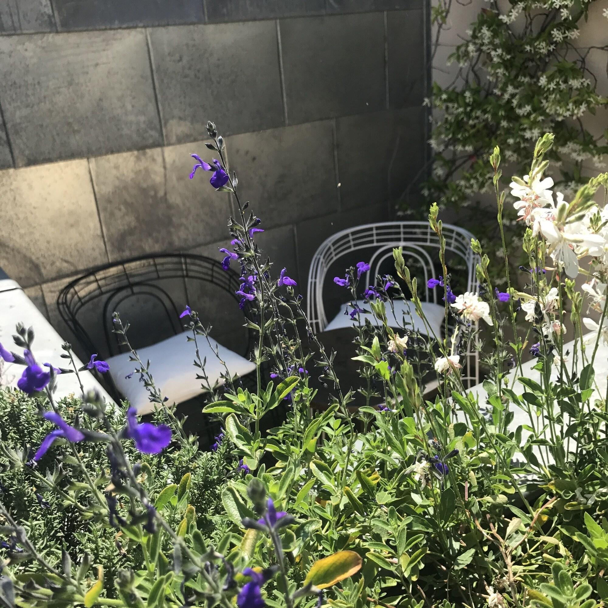 Hôtel Récamier by null