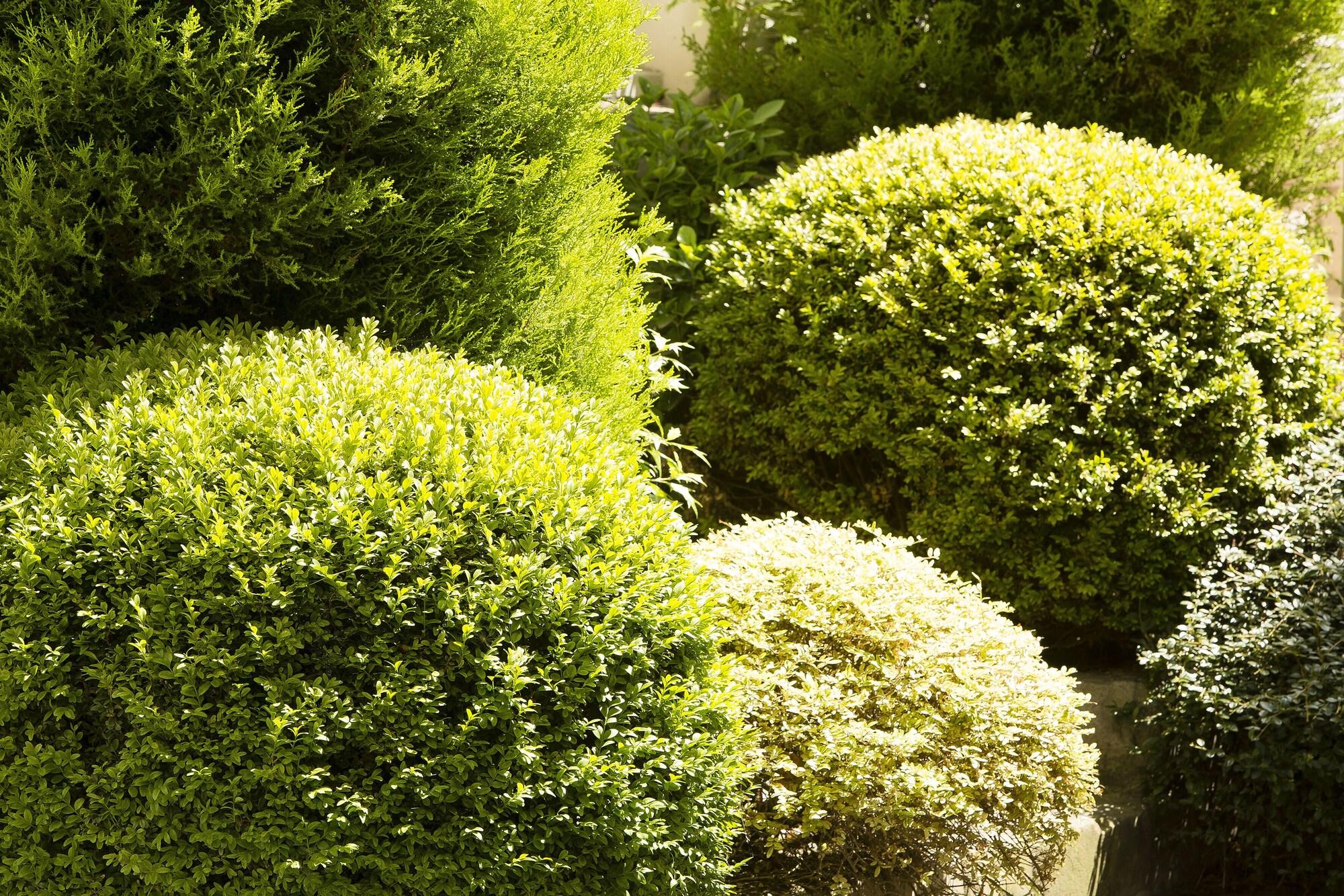 Hotel Des Grandes Ecoles by null