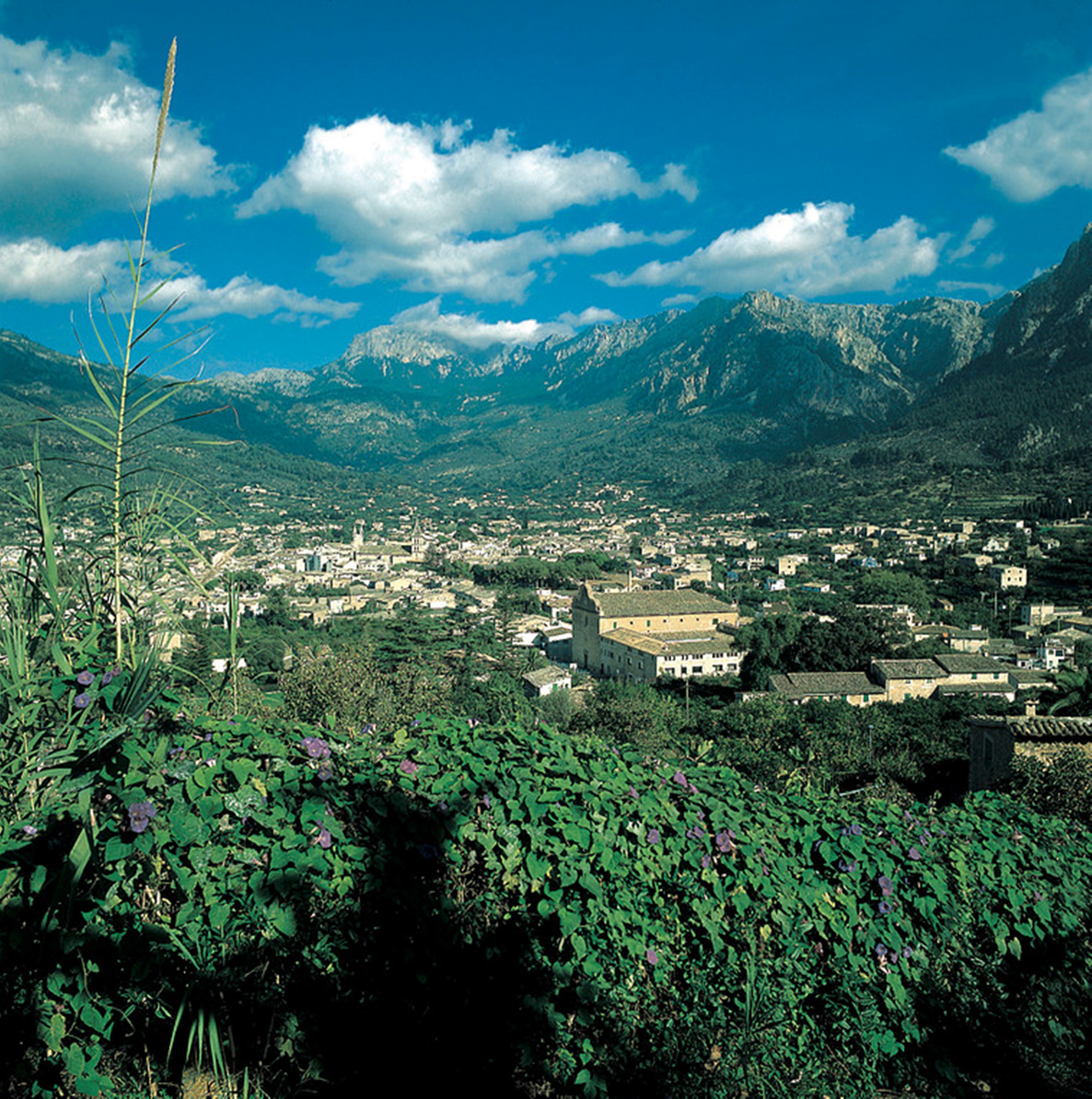 Finca Ca´s Sant by null