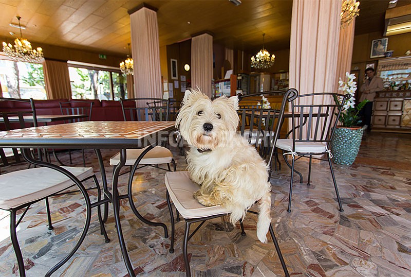 Spiaggia Marconi - photo