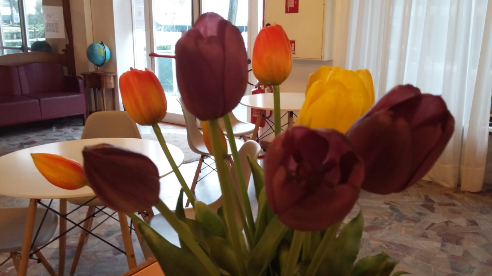 Spiaggia Marconi - photo